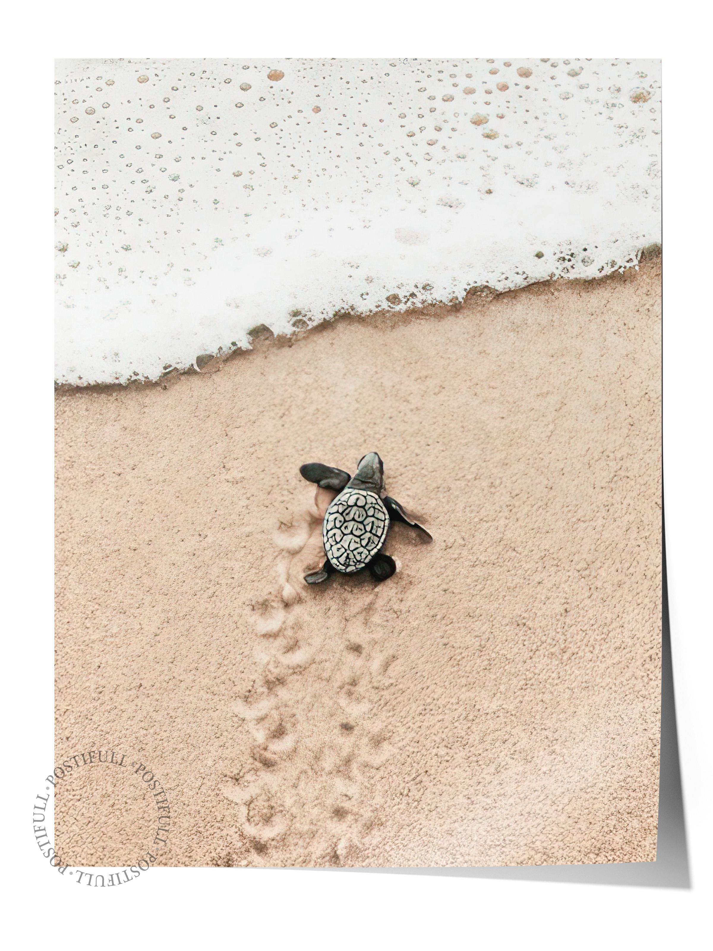 Small Beach Turtle Poster, Çerçevesiz Duvar Posteri, Dikey Duvar Tablosu Comfort Serisi NO:108420