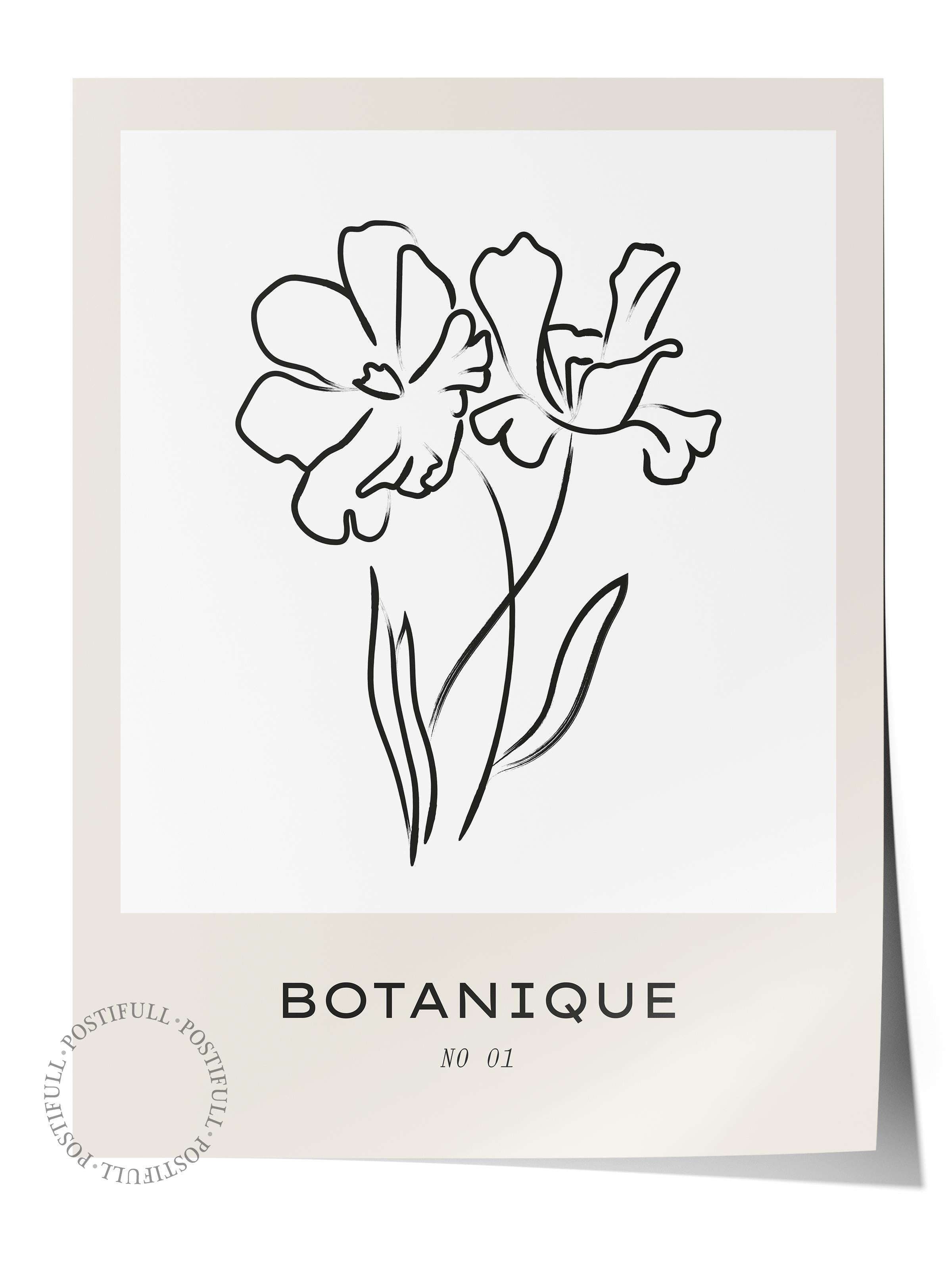 Soft Boho Çerçevesiz Duvar Posteri, İskandinav Temalı Poster - Salon, Mutfak ve Yatak Odası Dekoru