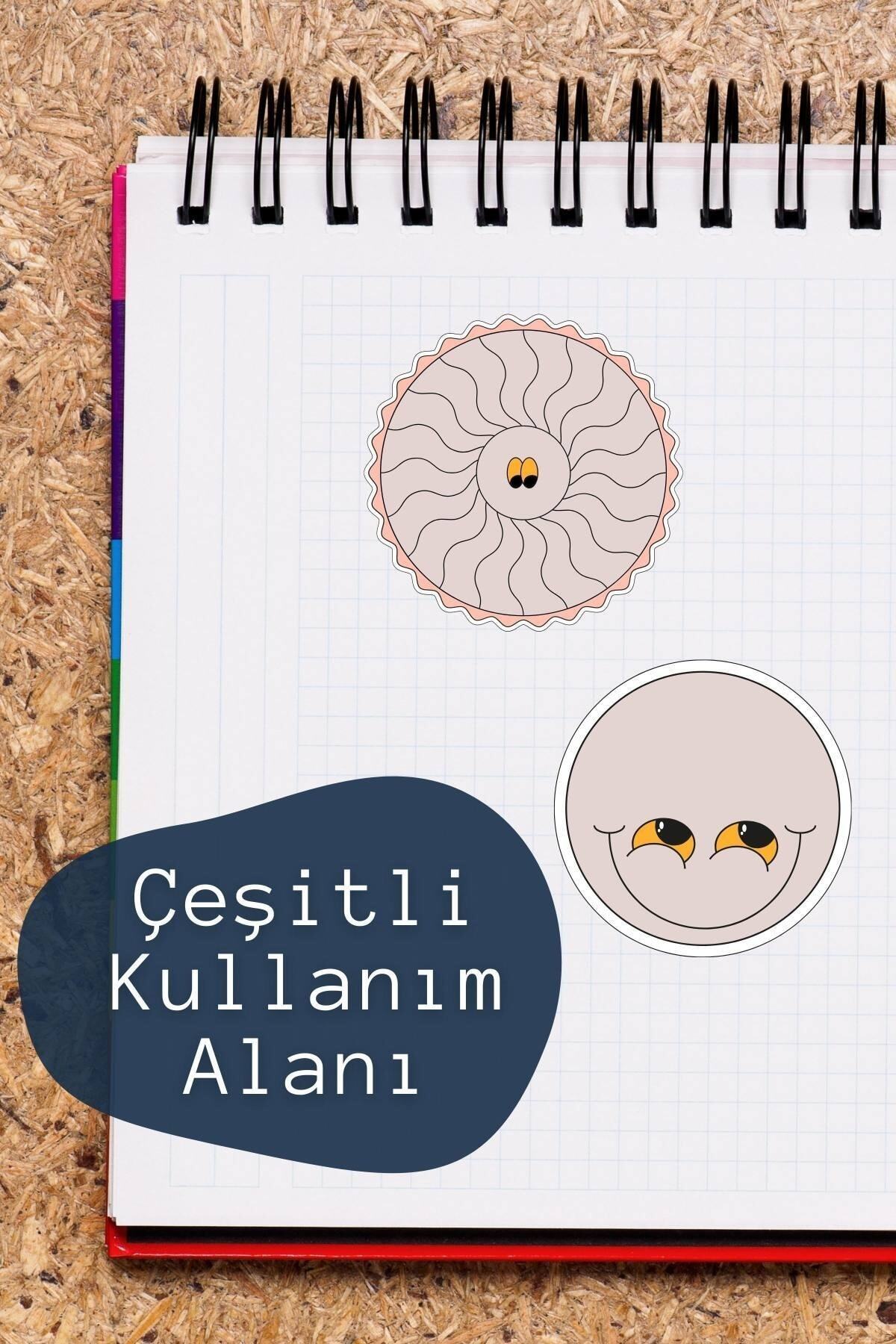 Soft Indie Temalı Sticker Seti - 6 Adet Etiket Seti- Telefon, Tablet, Defter Laptop Uyumlu Etiket