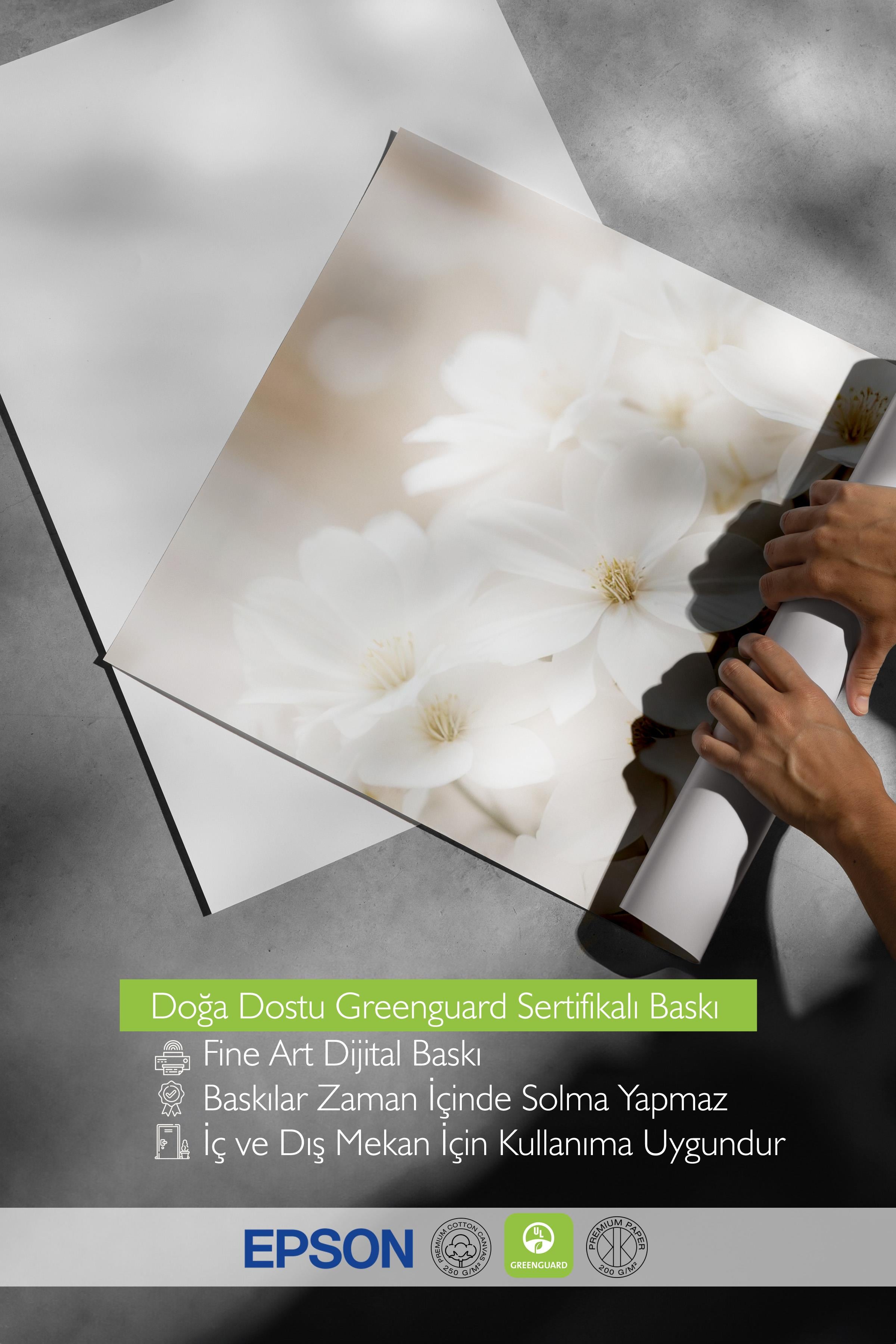 Soft White Bloom Poster, Çerçevesiz Duvar Posteri, Dikey Duvar Tablosu Comfort Serisi NO:108344