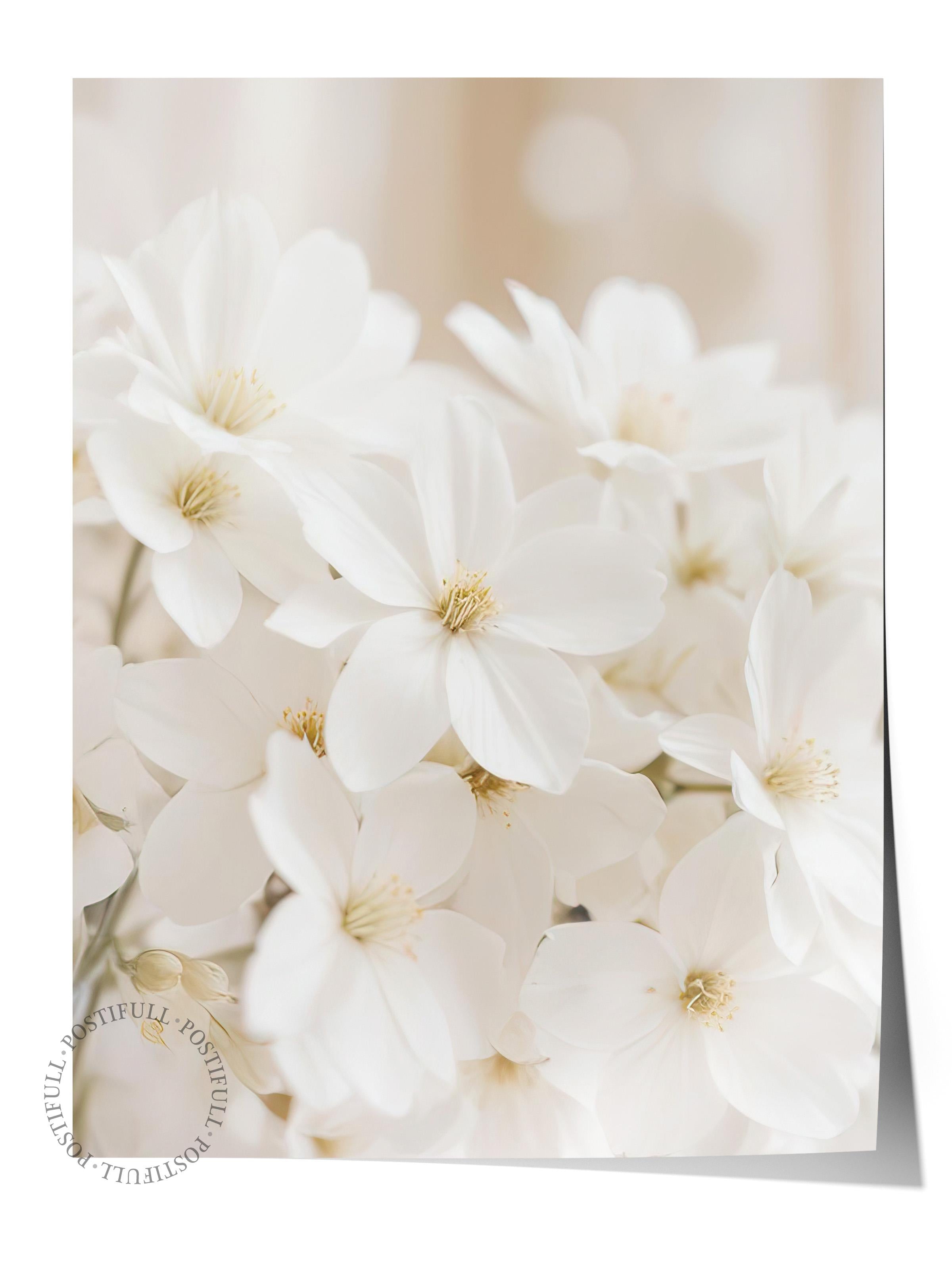 Soft White Bloom Poster, Çerçevesiz Duvar Posteri, Dikey Duvar Tablosu Comfort Serisi NO:108344