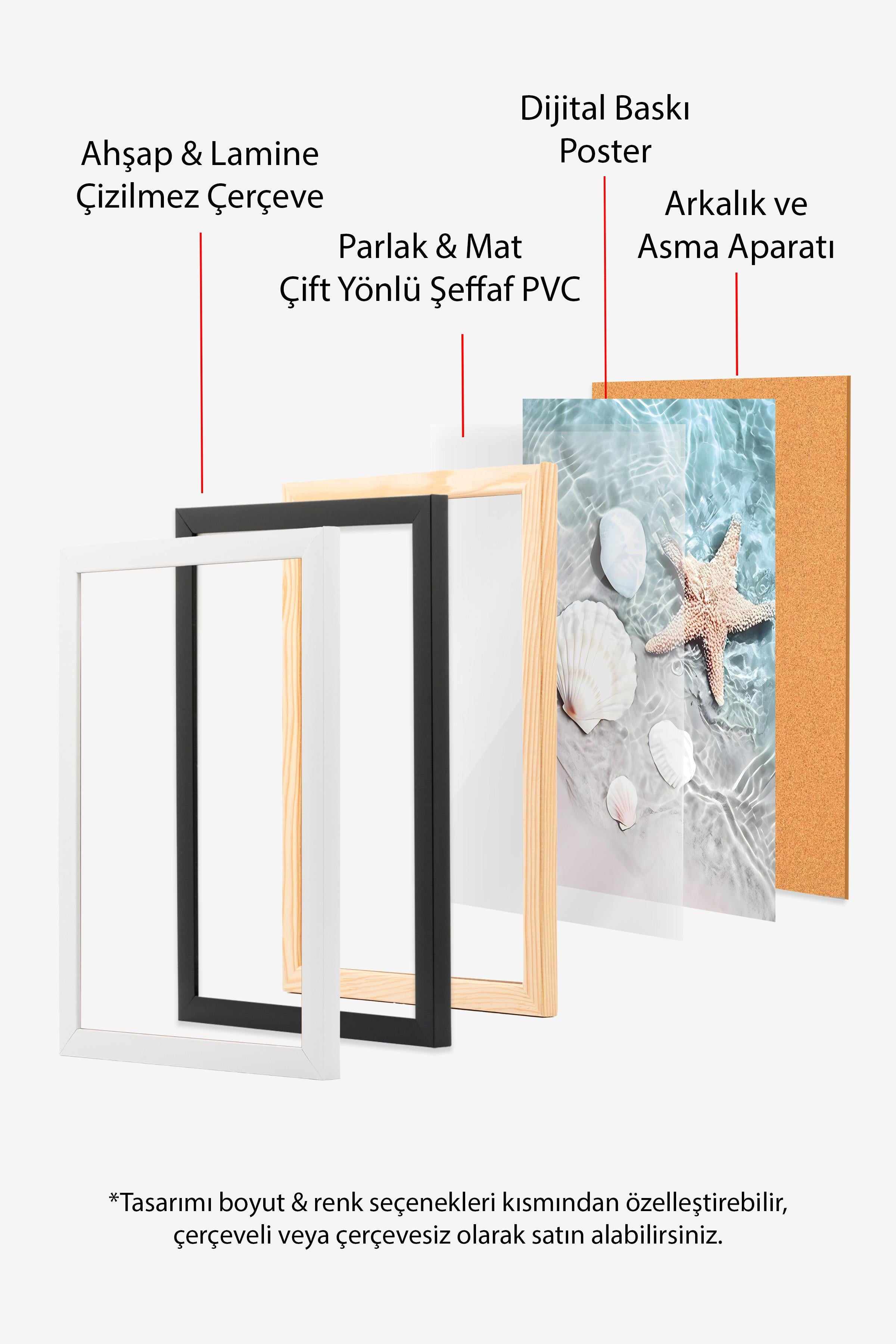 Starfish and Seashell Beyaz Çerçeveli Tablo, Duvar Tablosu Comfort Serisi NO:108423