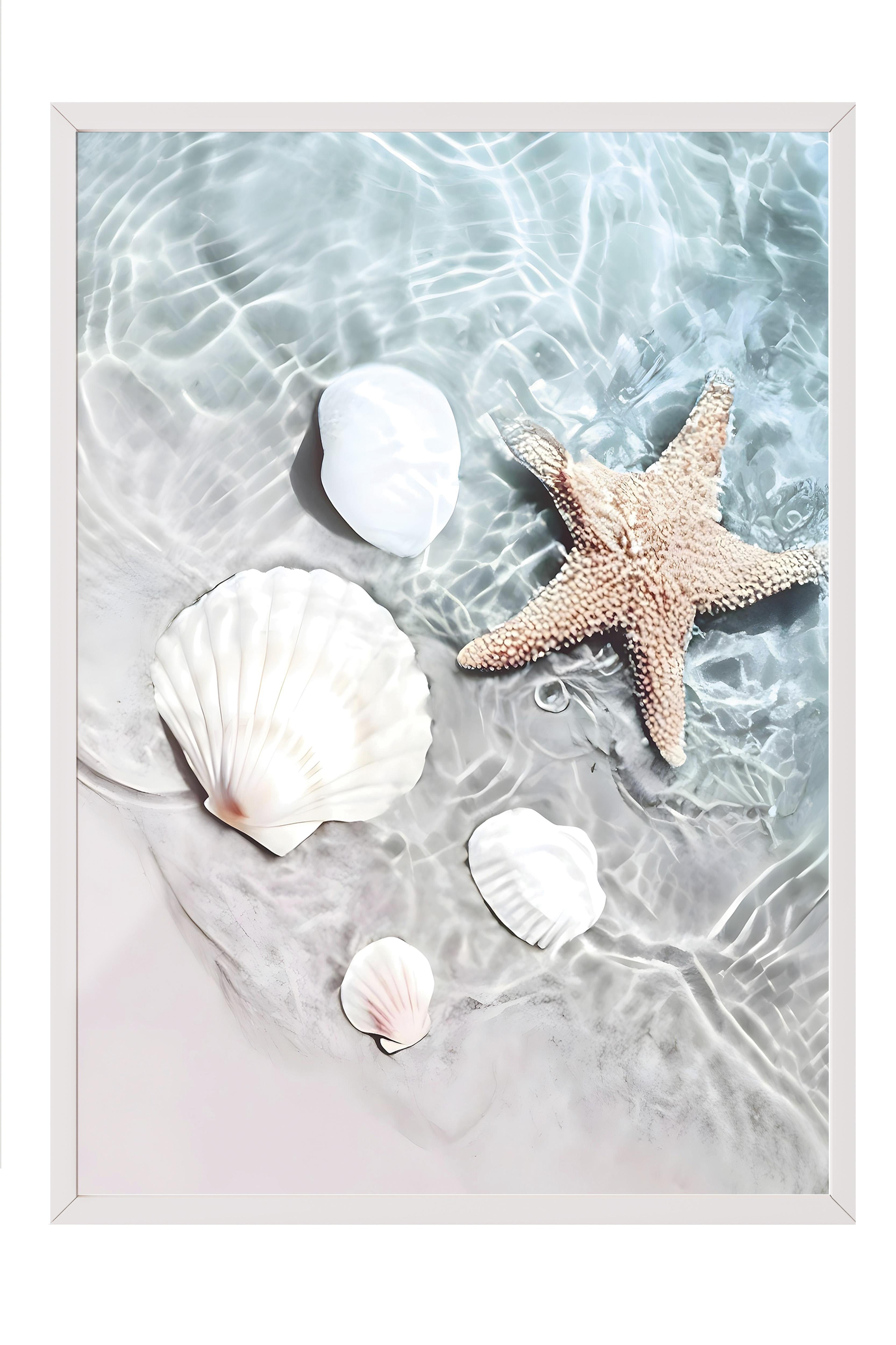 Starfish and Seashell Beyaz Çerçeveli Tablo, Duvar Tablosu Comfort Serisi NO:108423