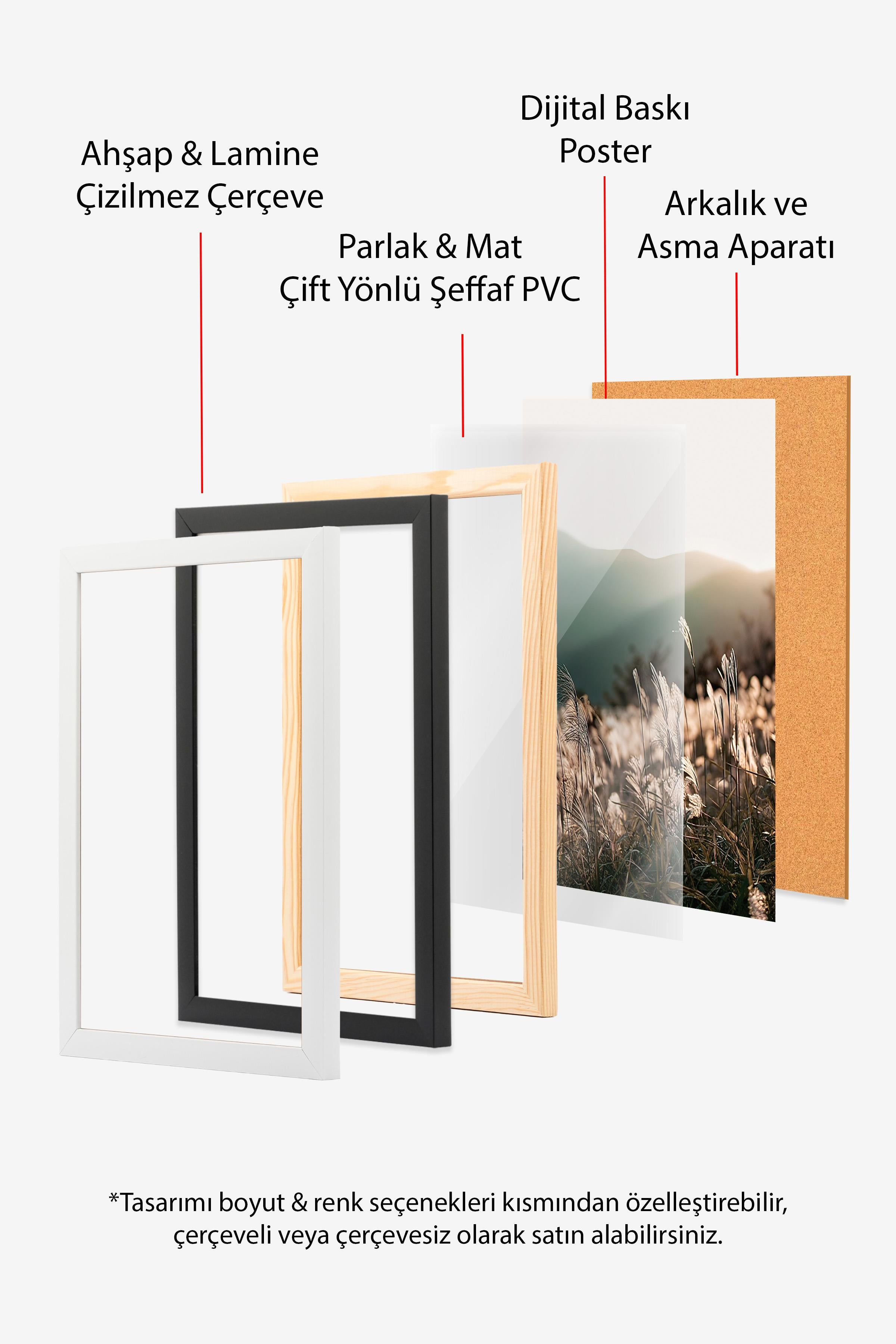 Sunlight Grass Çerçeveli Tablo, Beyaz Çerçeve ve Poster, Duvar Tablosu Comfort Serisi NO:108408