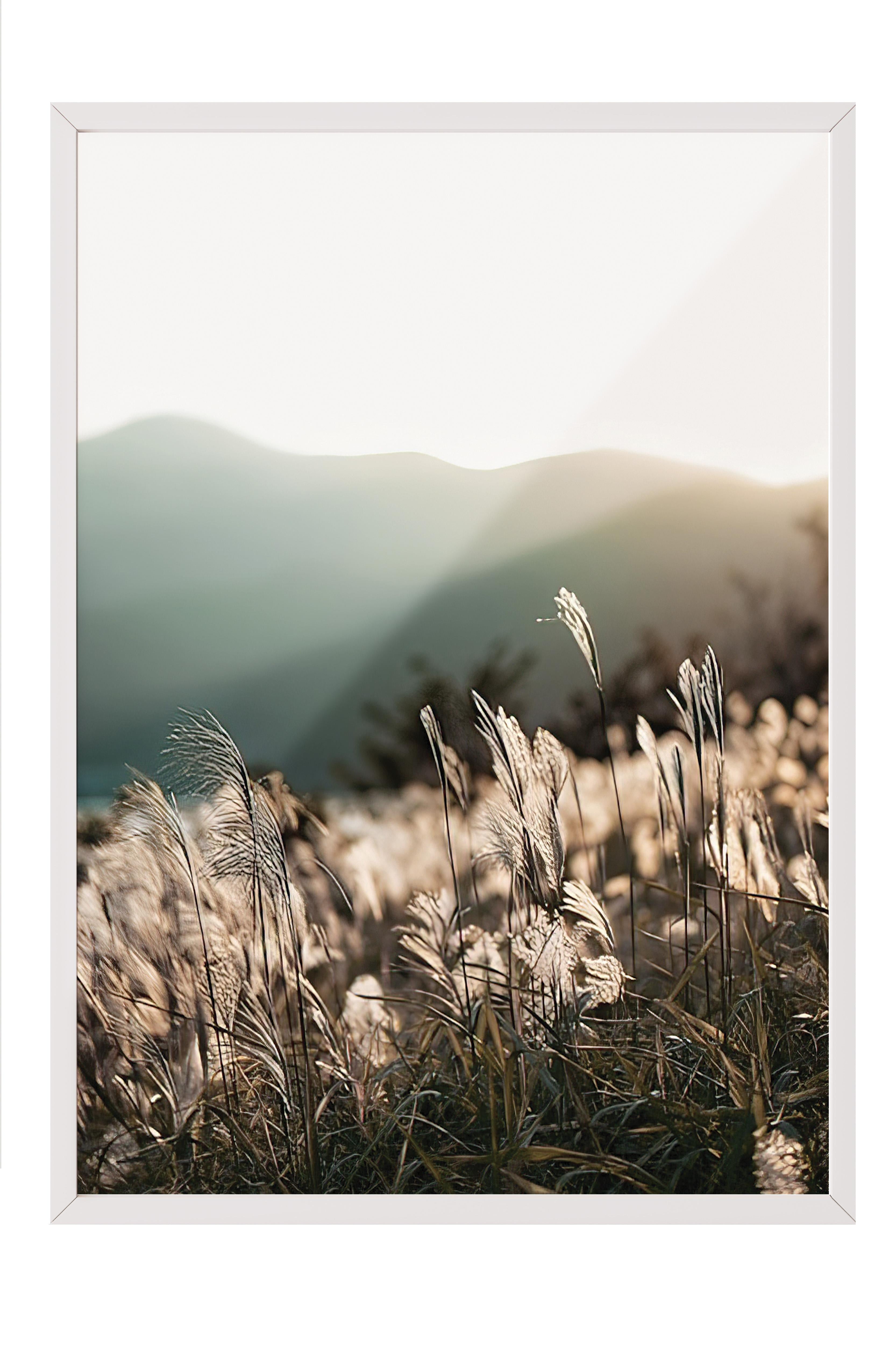 Sunlight Grass Çerçeveli Tablo, Beyaz Çerçeve ve Poster, Duvar Tablosu Comfort Serisi NO:108408