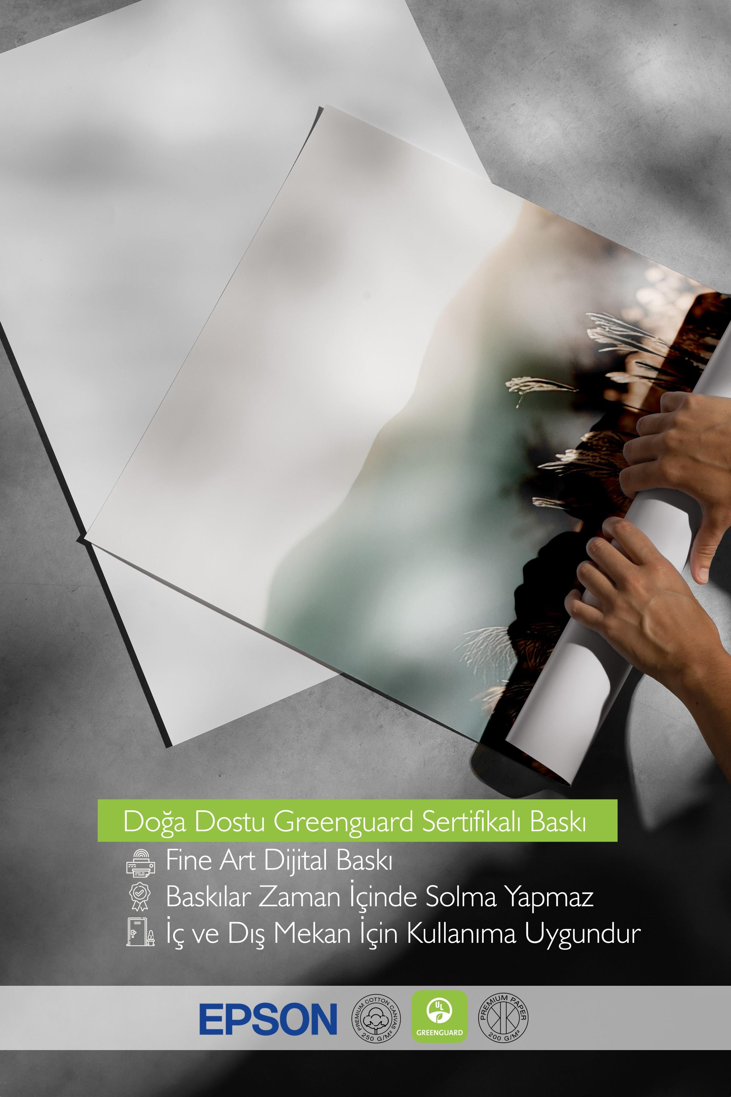 Sunlight Grass Poster, Çerçevesiz Duvar Posteri, Dikey Duvar Tablosu Comfort Serisi NO:108408