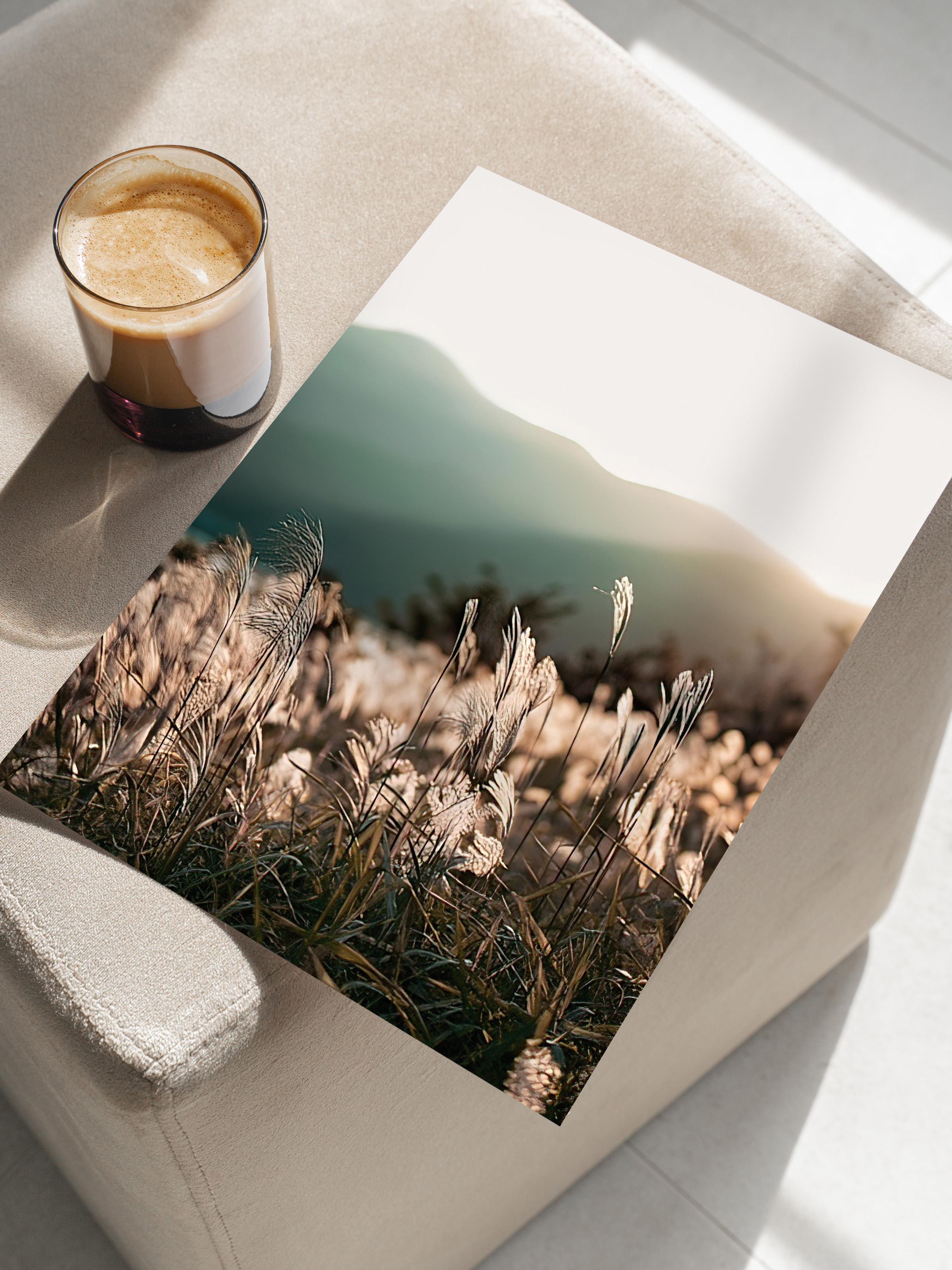 Sunlight Grass Poster, Çerçevesiz Duvar Posteri, Dikey Duvar Tablosu Comfort Serisi NO:108408