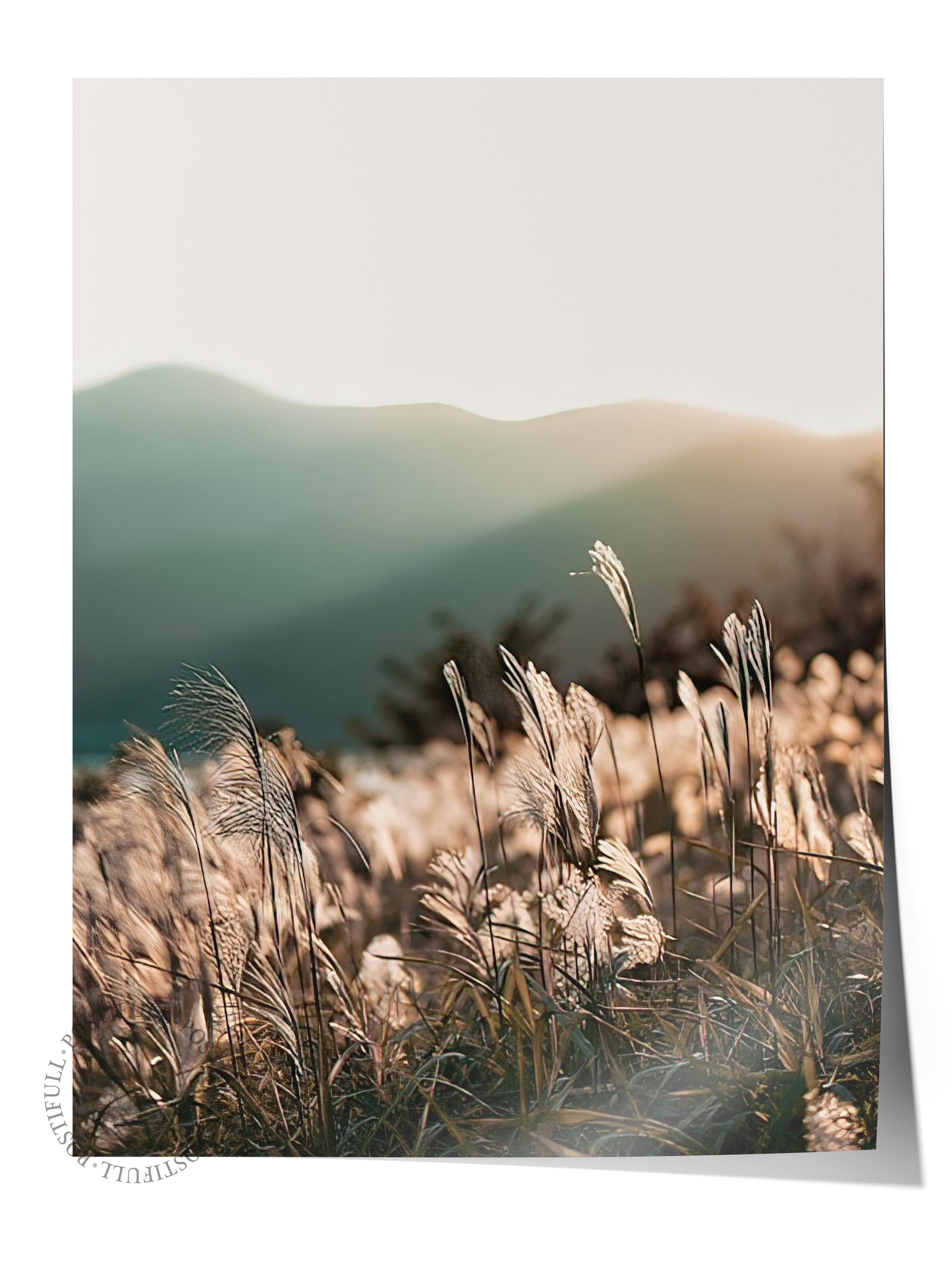 Sunlight Grass Poster, Çerçevesiz Duvar Posteri, Dikey Duvar Tablosu Comfort Serisi NO:108408