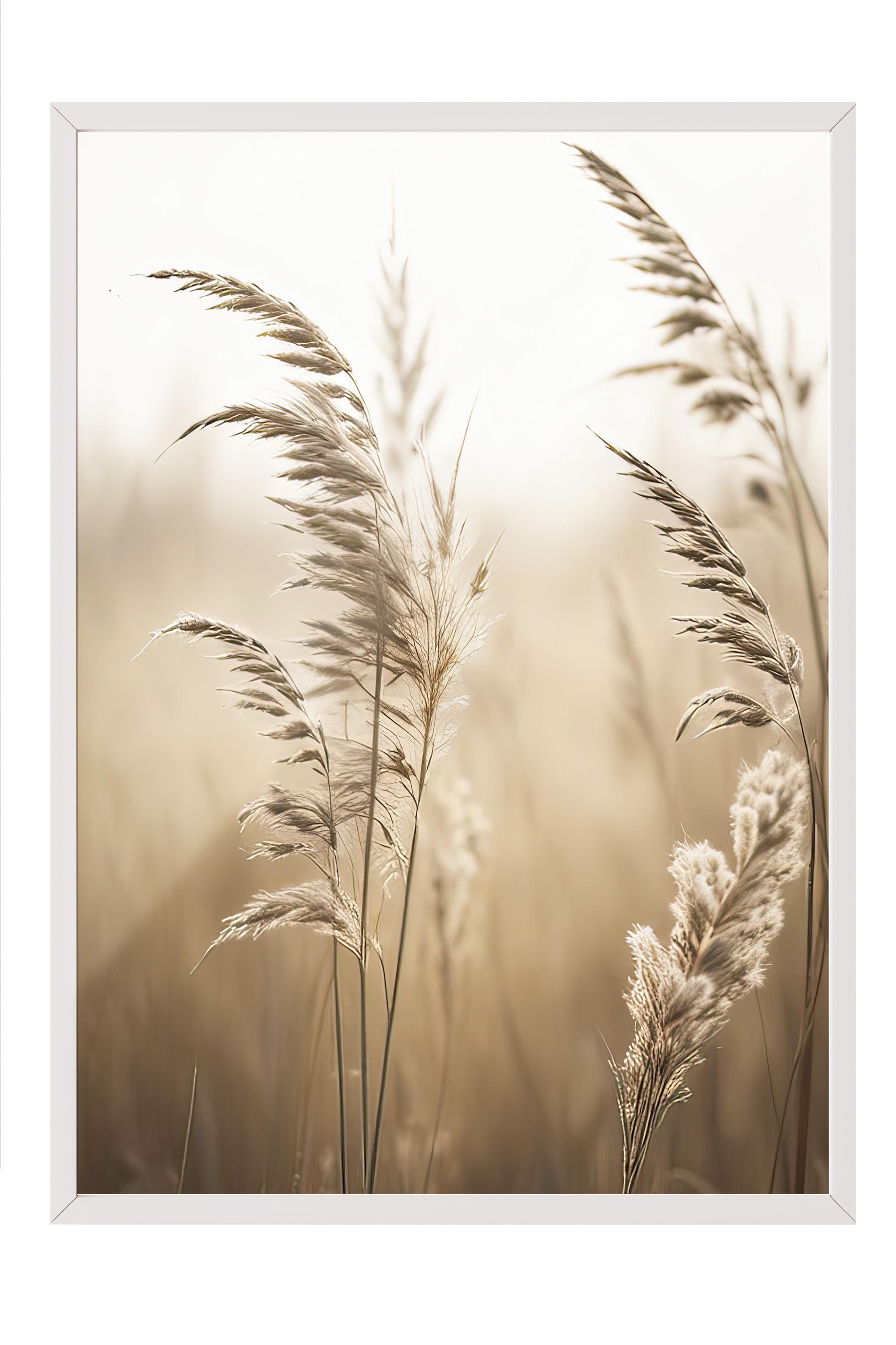 Sunlight Reed Çerçeveli Tablo, Beyaz Çerçeve ve Poster, Dikey Duvar Tablosu Comfort Serisi NO:108409