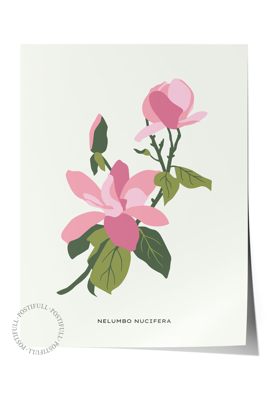 Nelumbo Nucifera Tropikal İllustrasyon Çerçevesiz Poster