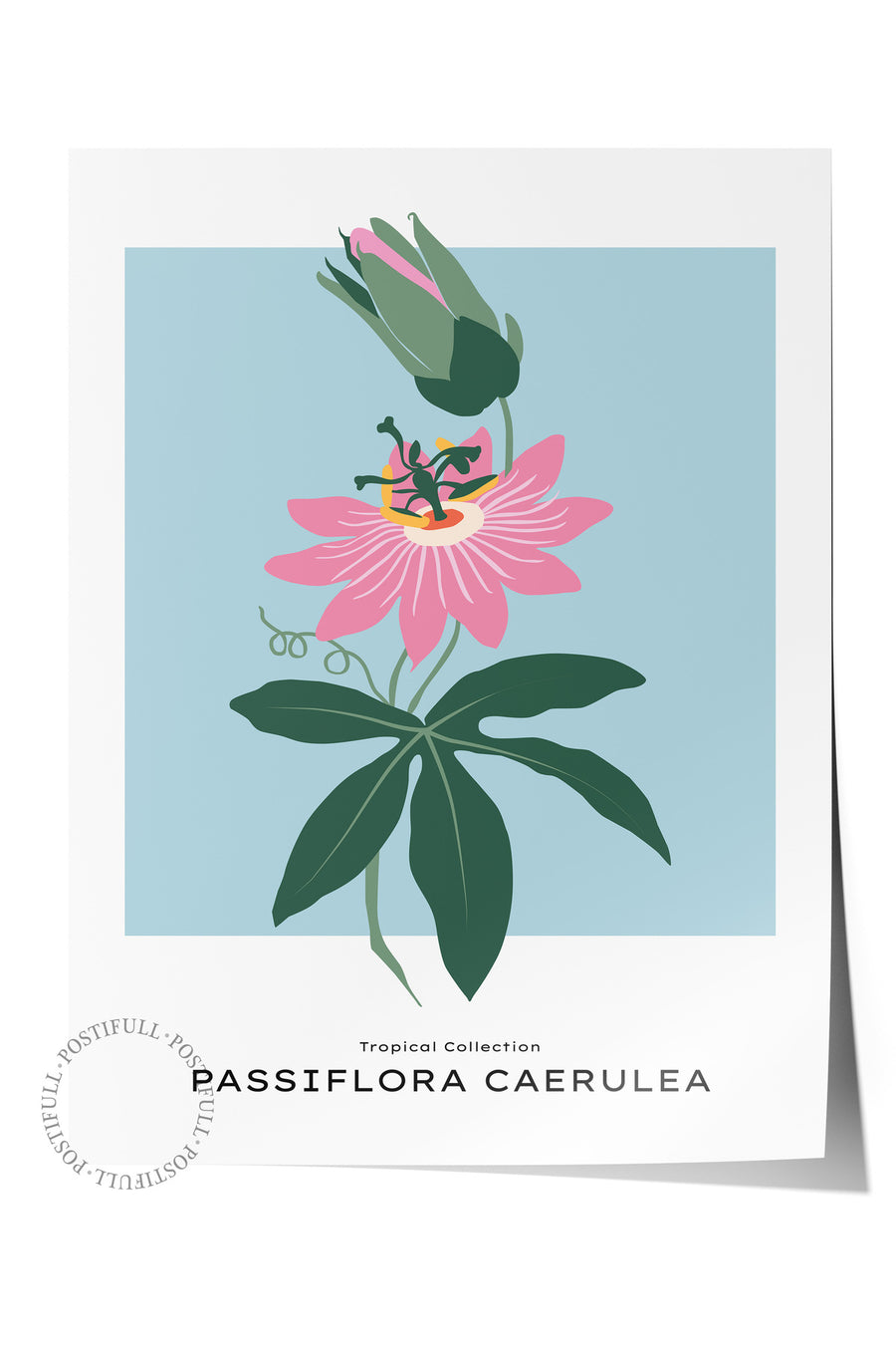 PASSIFLORA CAERULEA Tropikal İllustrasyon Çerçevesiz Poster