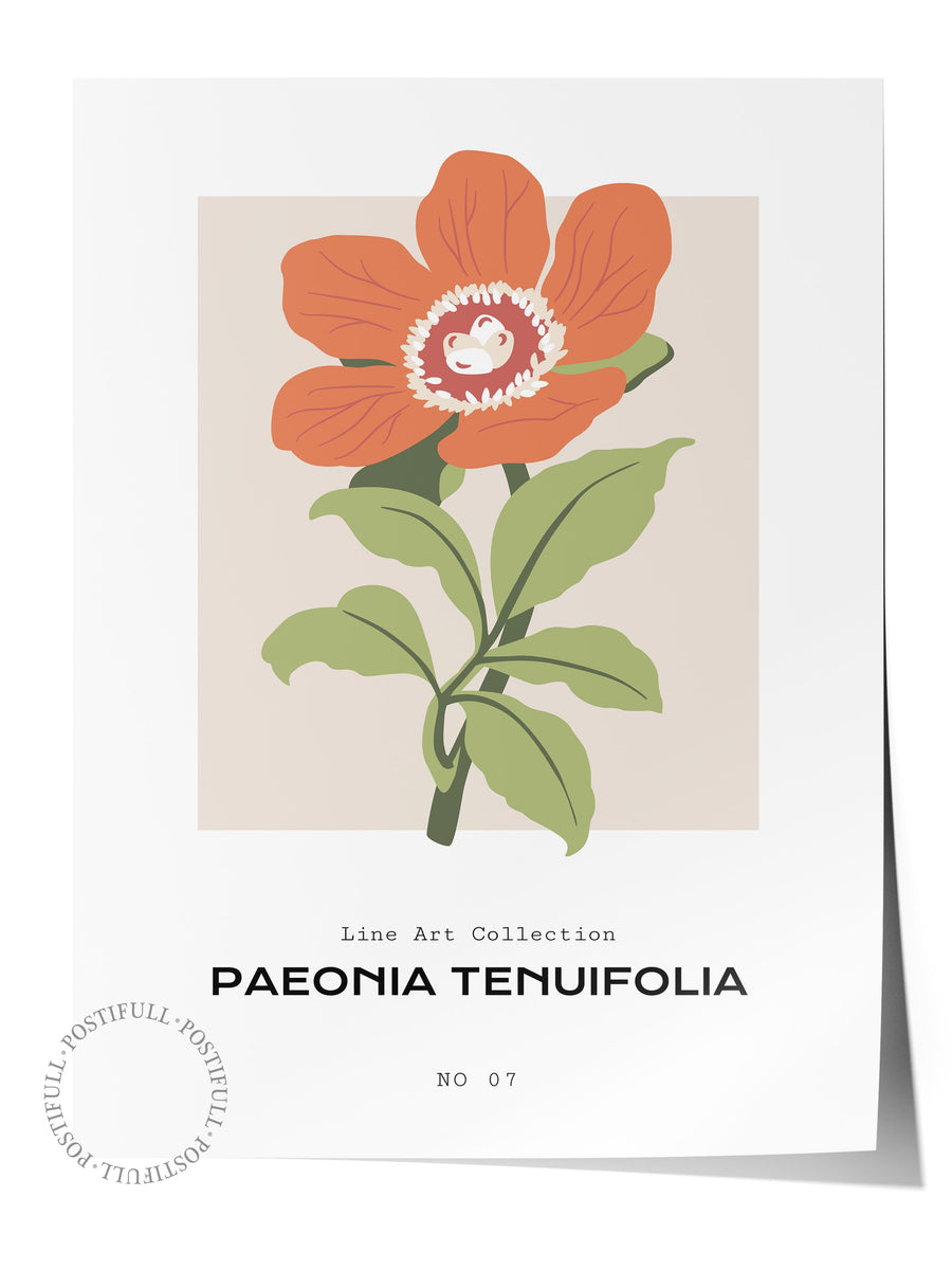 PAEONIA TENUIFOLIA Tropikal İllustrasyon Çerçevesiz Poster