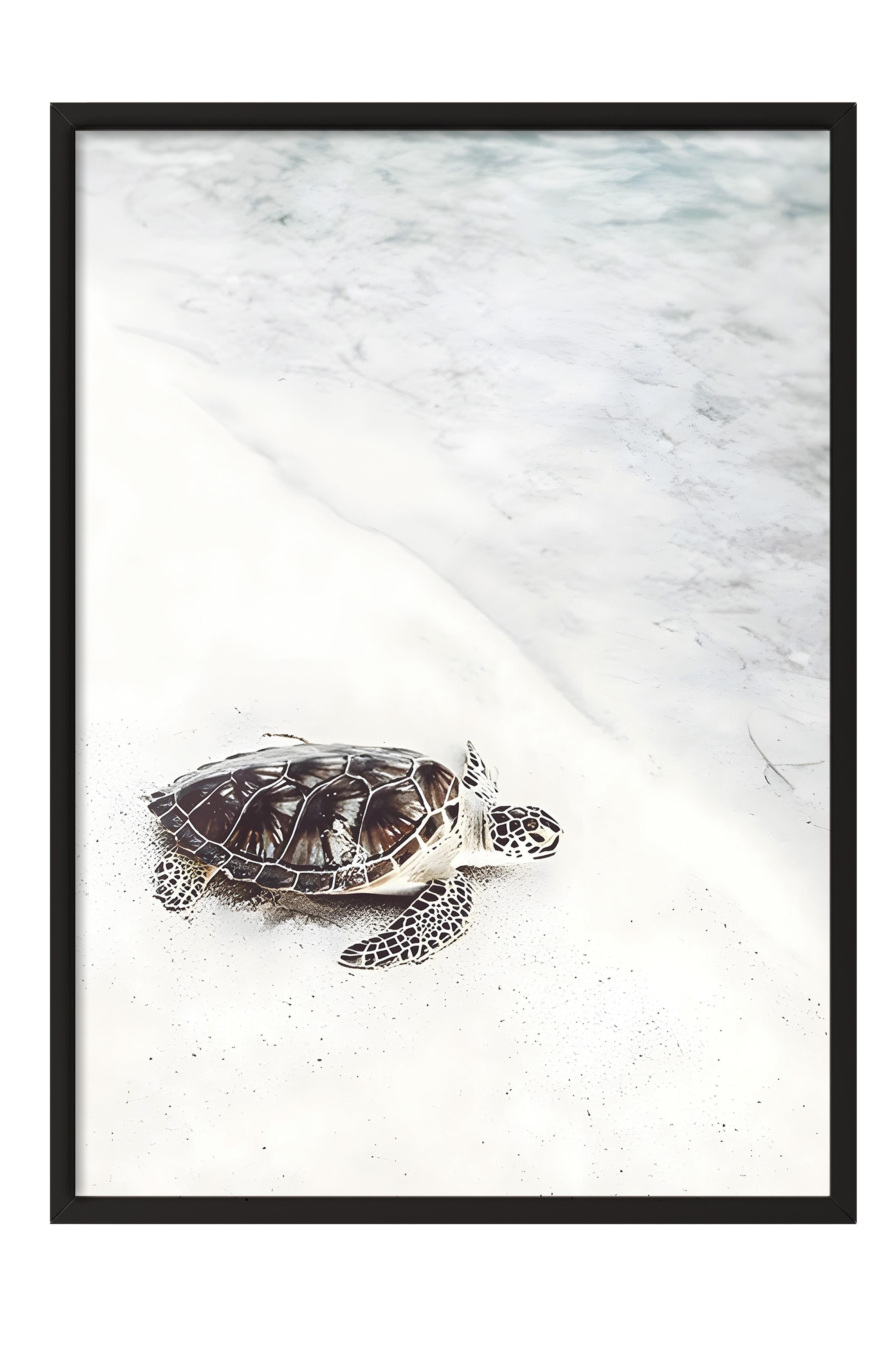 Turtle on the Beach Çerçeveli Tablo, Siyah Çerçeve ve Poster, Duvar Tablosu Comfort Serisi NO:108422