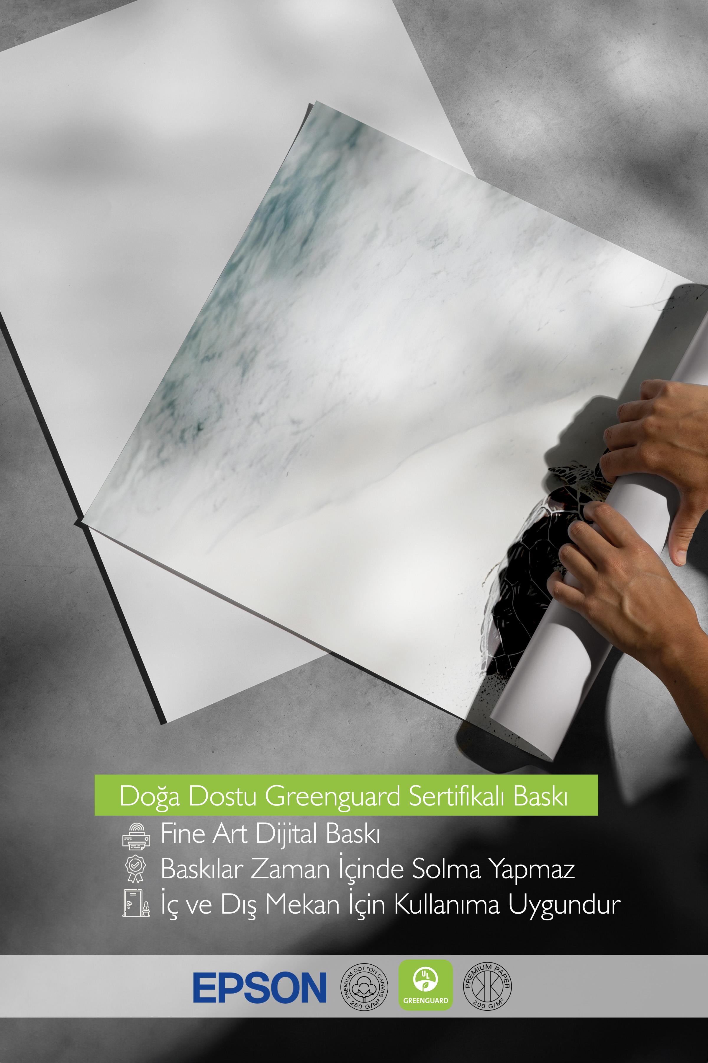 Turtle on the Beach Poster, Çerçevesiz Duvar Posteri, Dikey Duvar Tablosu Comfort Serisi NO:108422