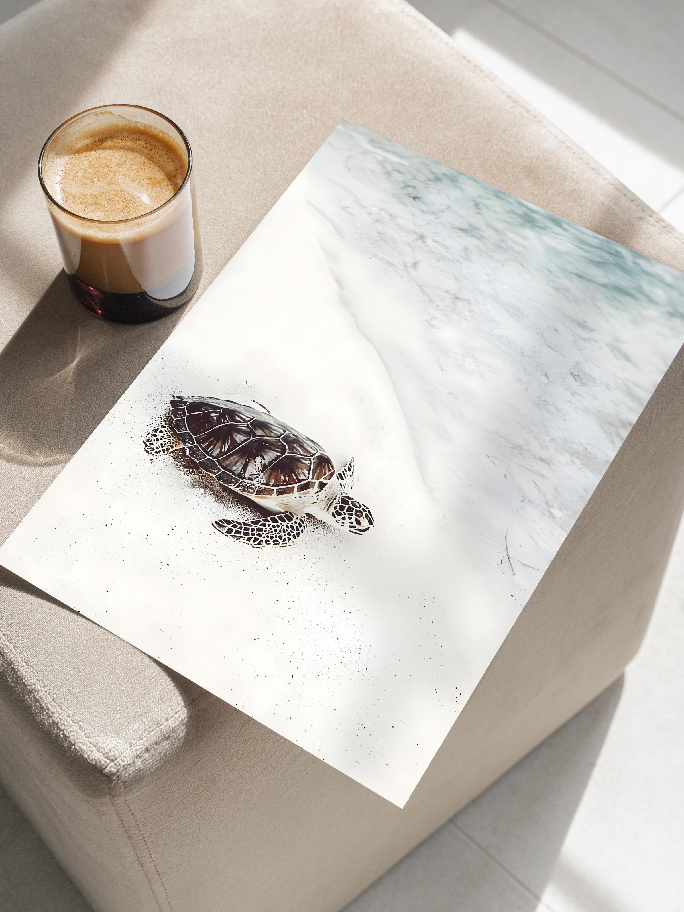 Turtle on the Beach Poster, Çerçevesiz Duvar Posteri, Dikey Duvar Tablosu Comfort Serisi NO:108422