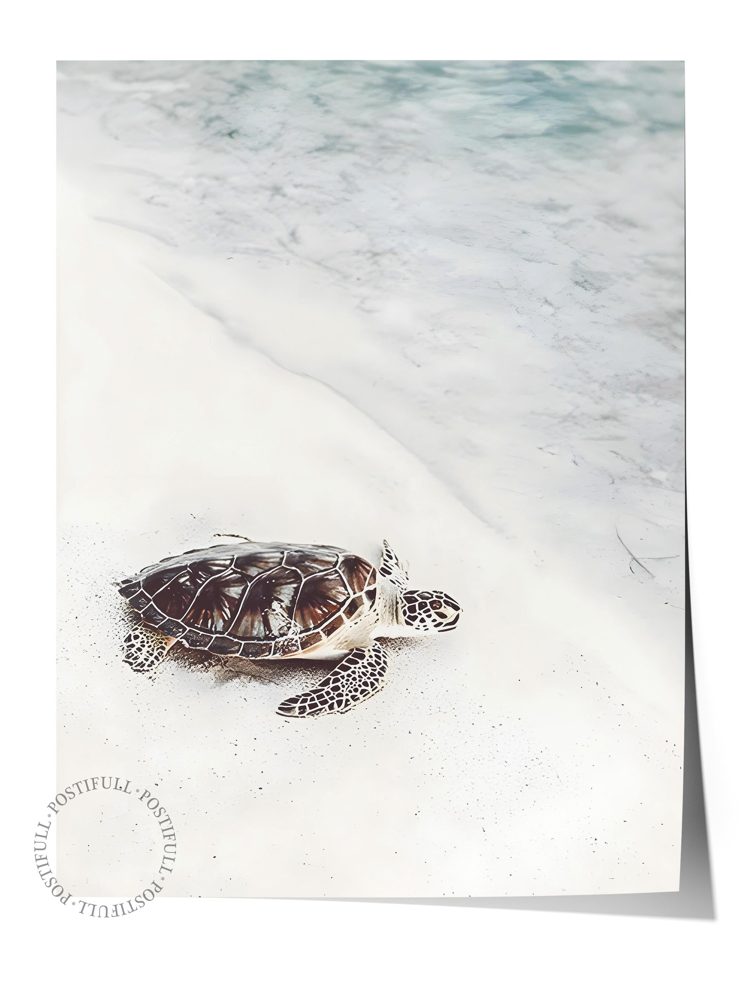 Turtle on the Beach Poster, Çerçevesiz Duvar Posteri, Dikey Duvar Tablosu Comfort Serisi NO:108422