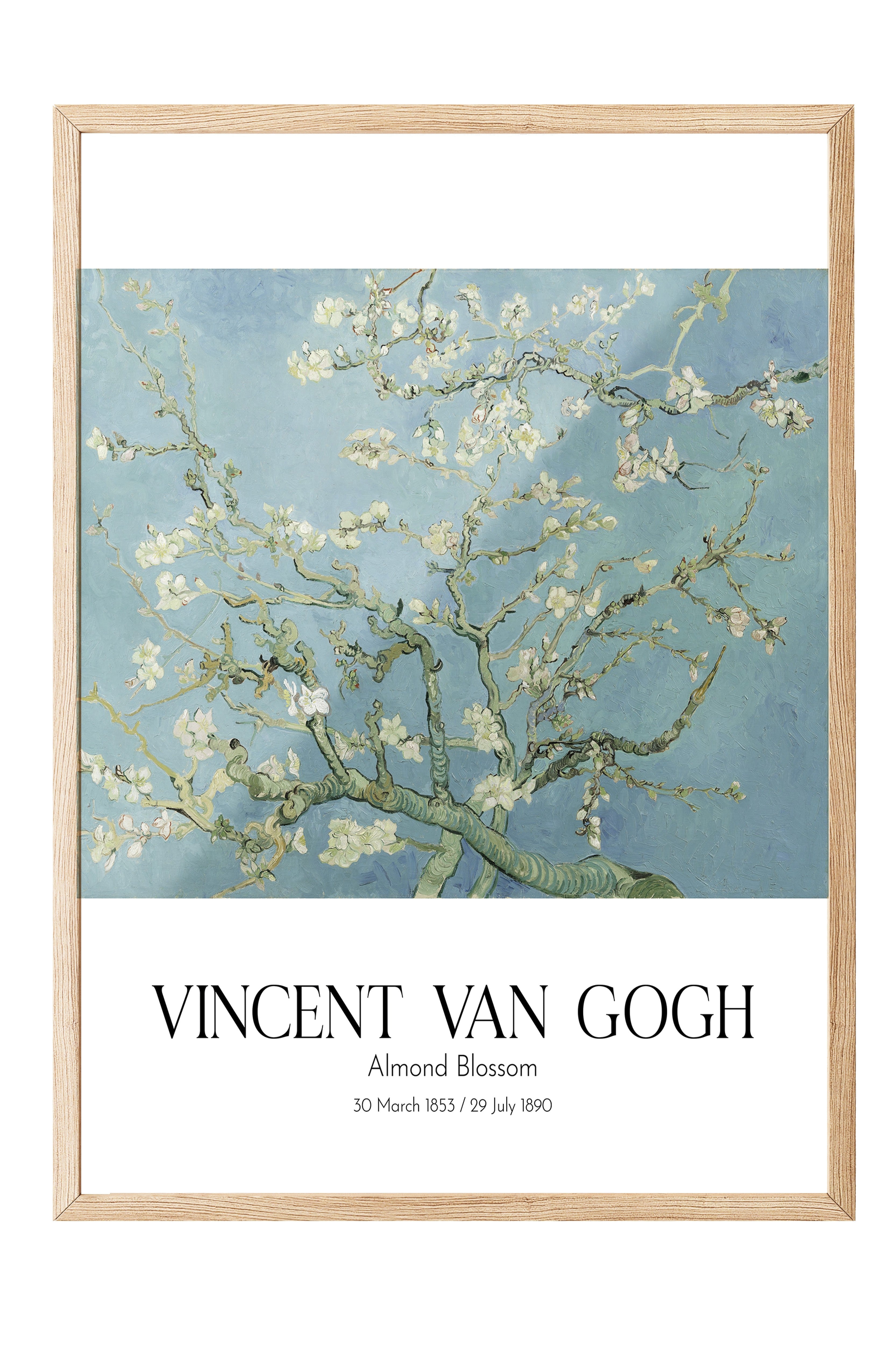 Vincent Van Gogh - Almond Blossom, Ahşap Çerçeveli Tablo, Sanat Serisi NO:110593