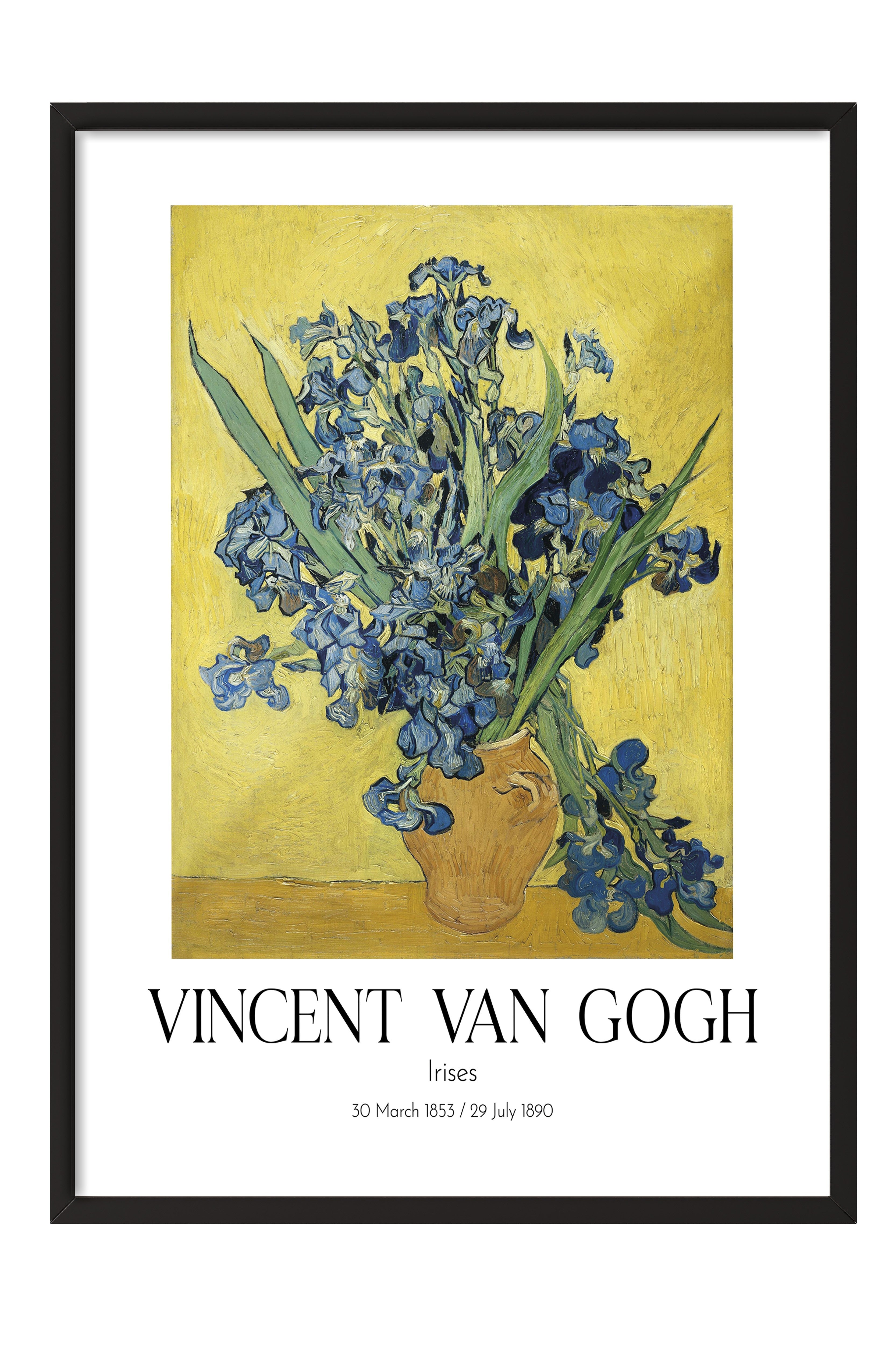 Vincent Van Gogh - Irises, Siyah Çerçeveli Tablo, Sanat Serisi NO:110606