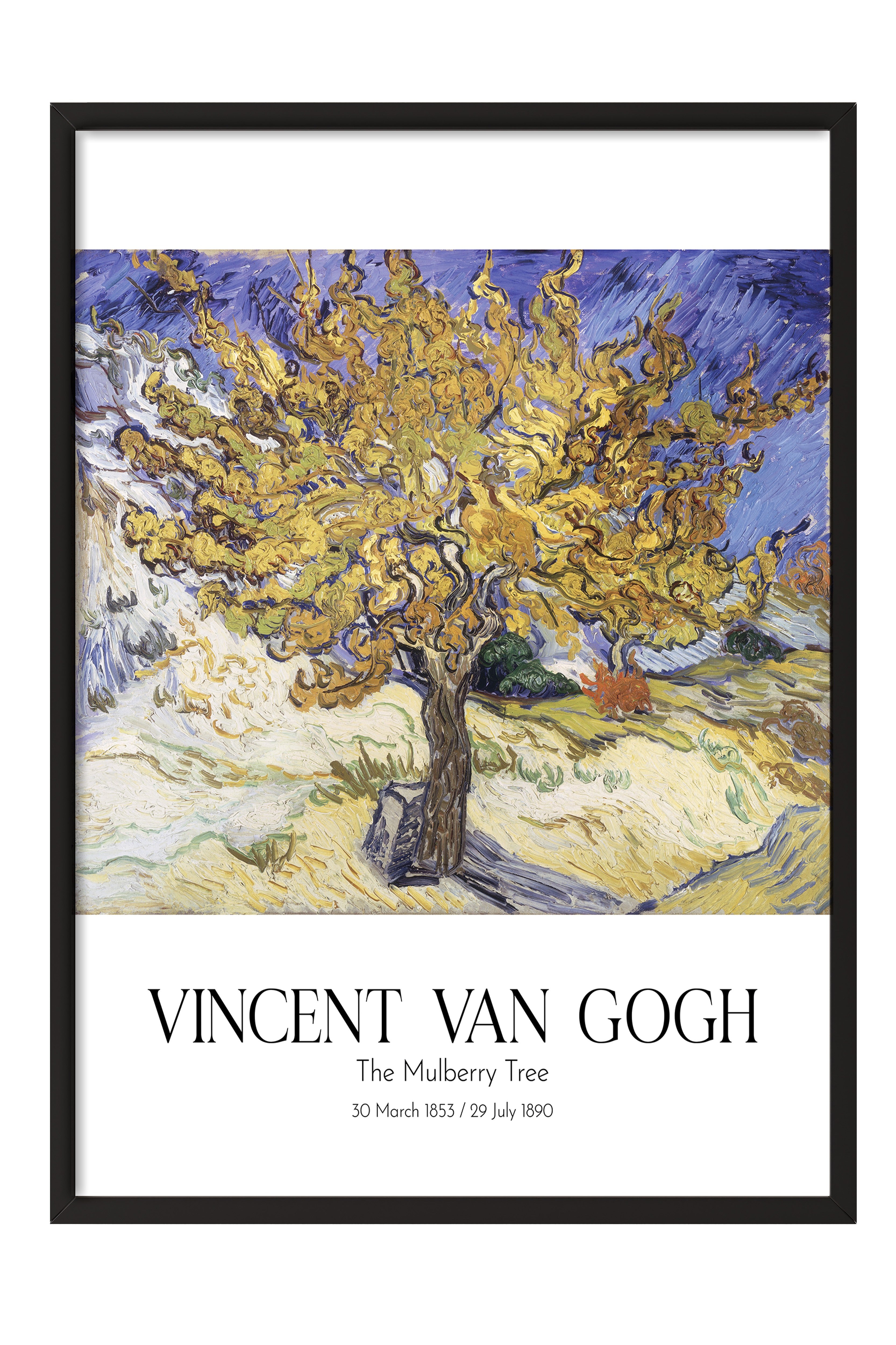 Vincent Van Gogh - The Mulberry Tree, Siyah Çerçeveli Tablo, Sanat Serisi NO:110600
