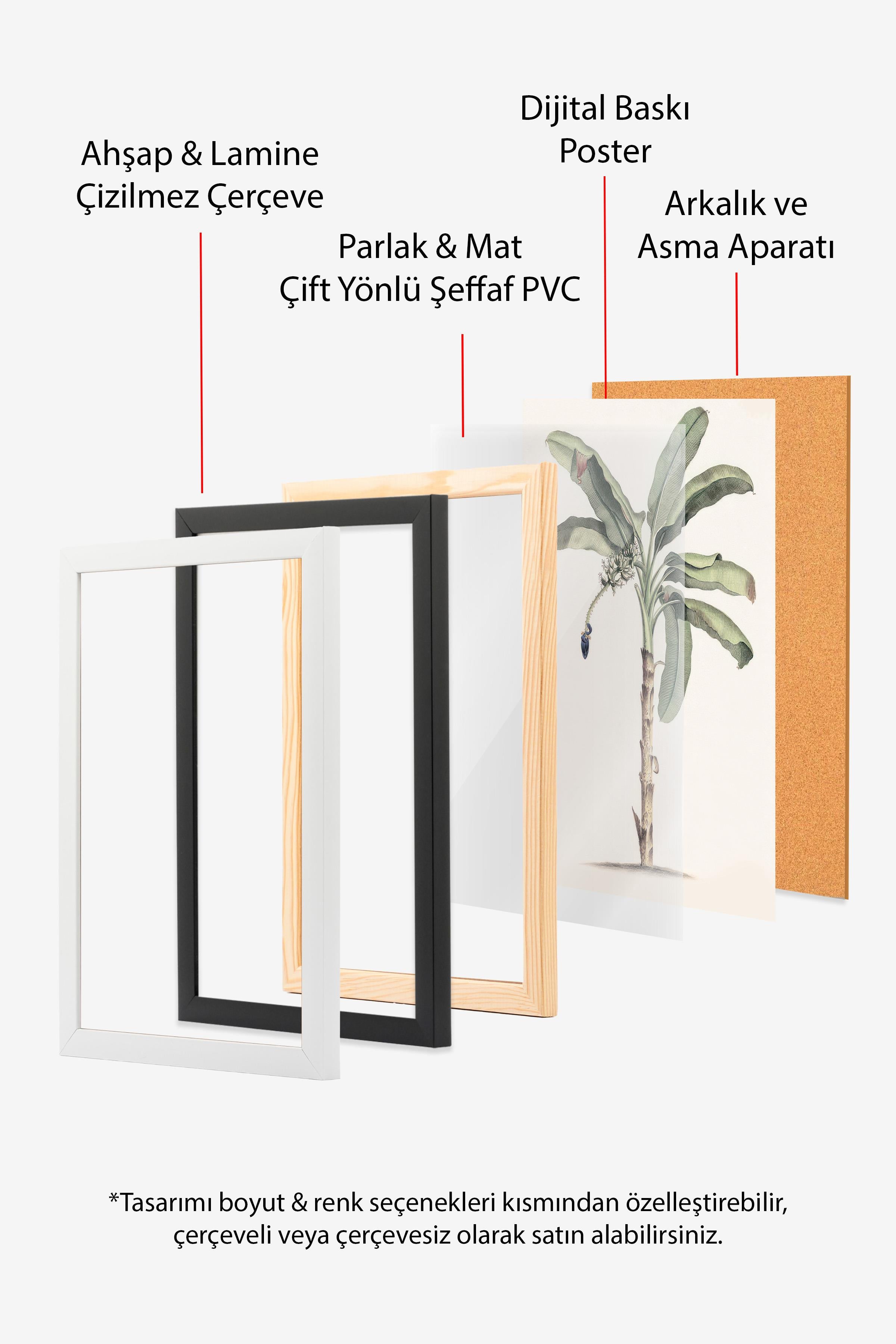 Vintage Banana Tree Çerçeveli Tablo, Siyah Çerçeve ve Poster, Duvar Tablosu Comfort Serisi NO:108501