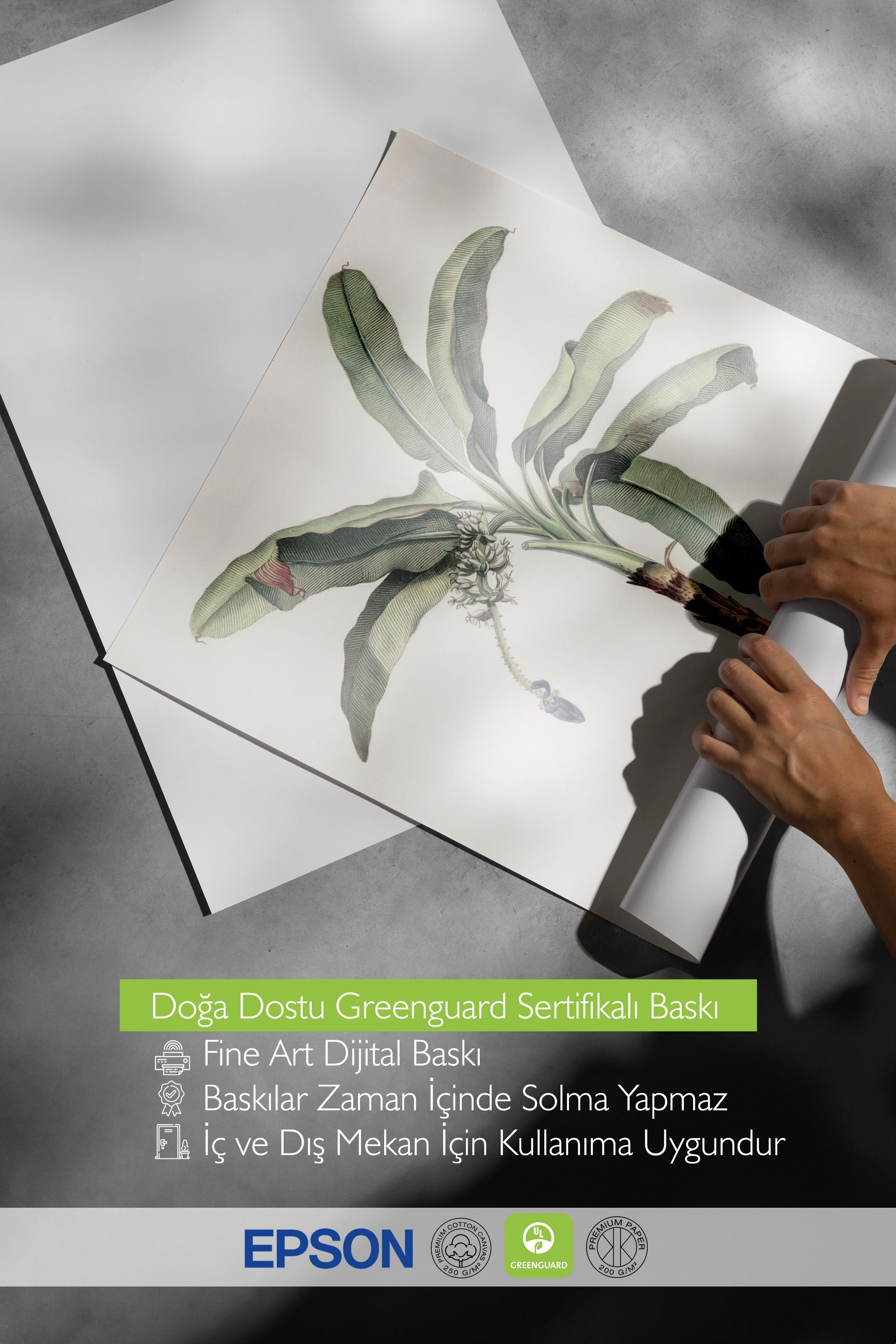 Vintage Banana Tree Poster, Çerçevesiz Duvar Posteri, Dikey Duvar Tablosu Comfort Serisi NO:108501