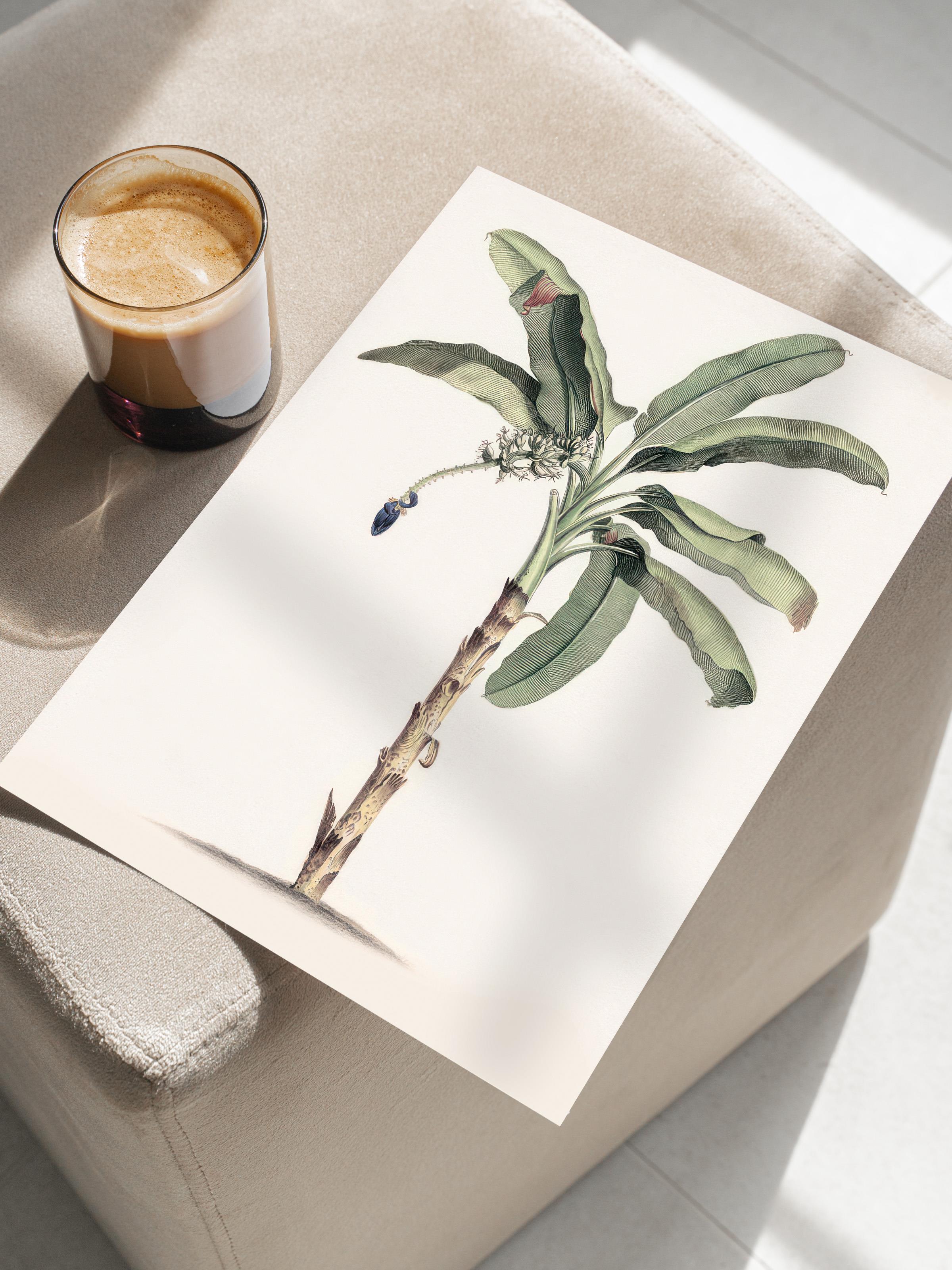 Vintage Banana Tree Poster, Çerçevesiz Duvar Posteri, Dikey Duvar Tablosu Comfort Serisi NO:108501