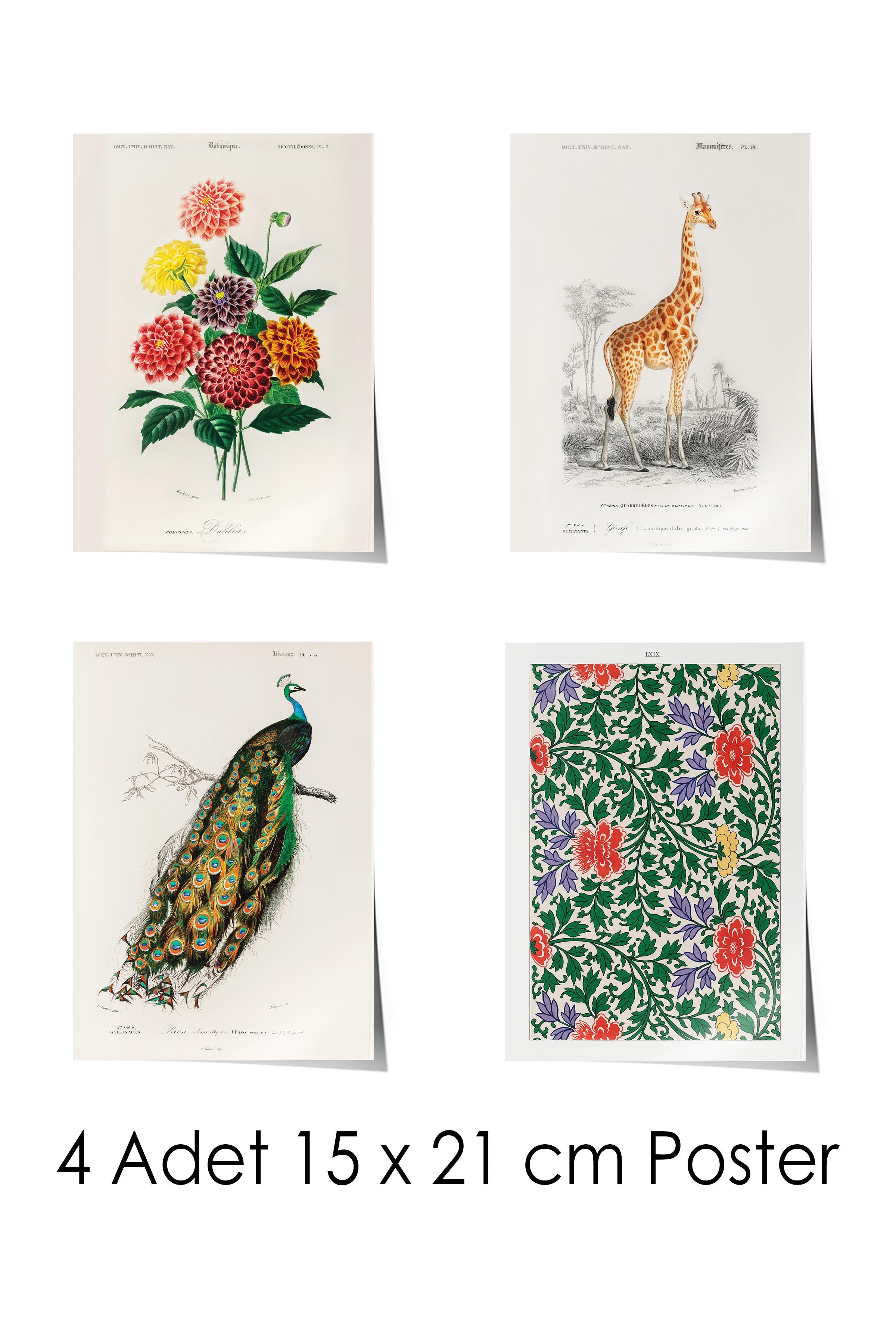 Vintage Duvar Poster Seti - 17 Adet Vintage Poster - Ev ve Ofis Duvar Tablosu - Çerçevesiz Poster