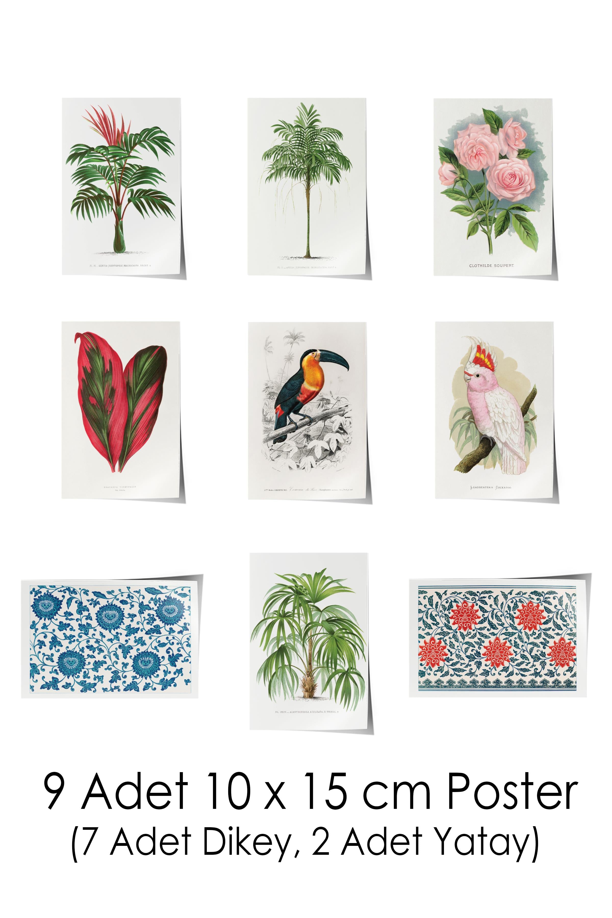 Vintage Duvar Poster Seti - 17 Adet Vintage Poster - Ev ve Ofis Duvar Tablosu - Çerçevesiz Poster