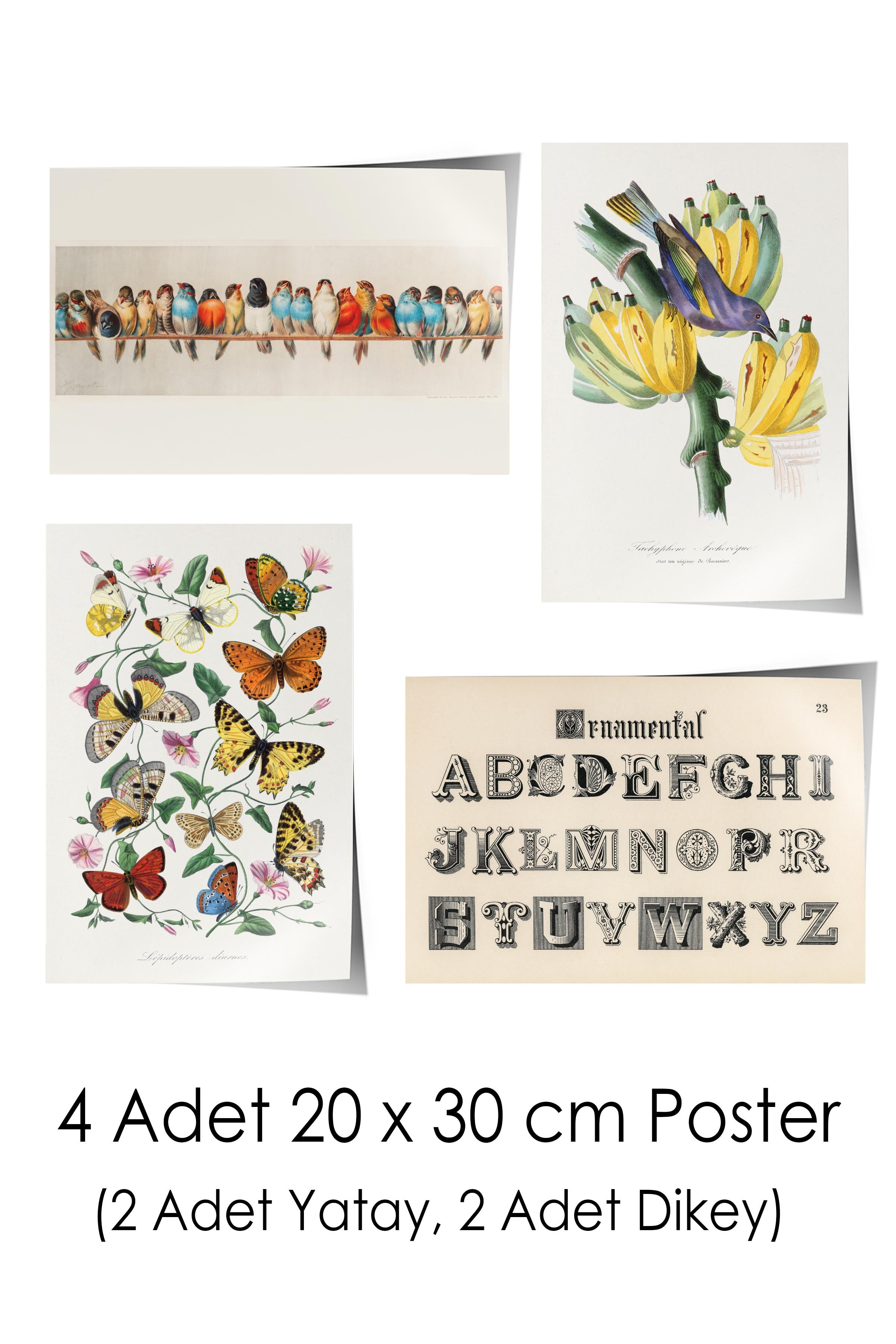 Vintage Duvar Poster Seti - 17 Adet Vintage Poster - Ev ve Ofis Duvar Tablosu - Çerçevesiz Poster