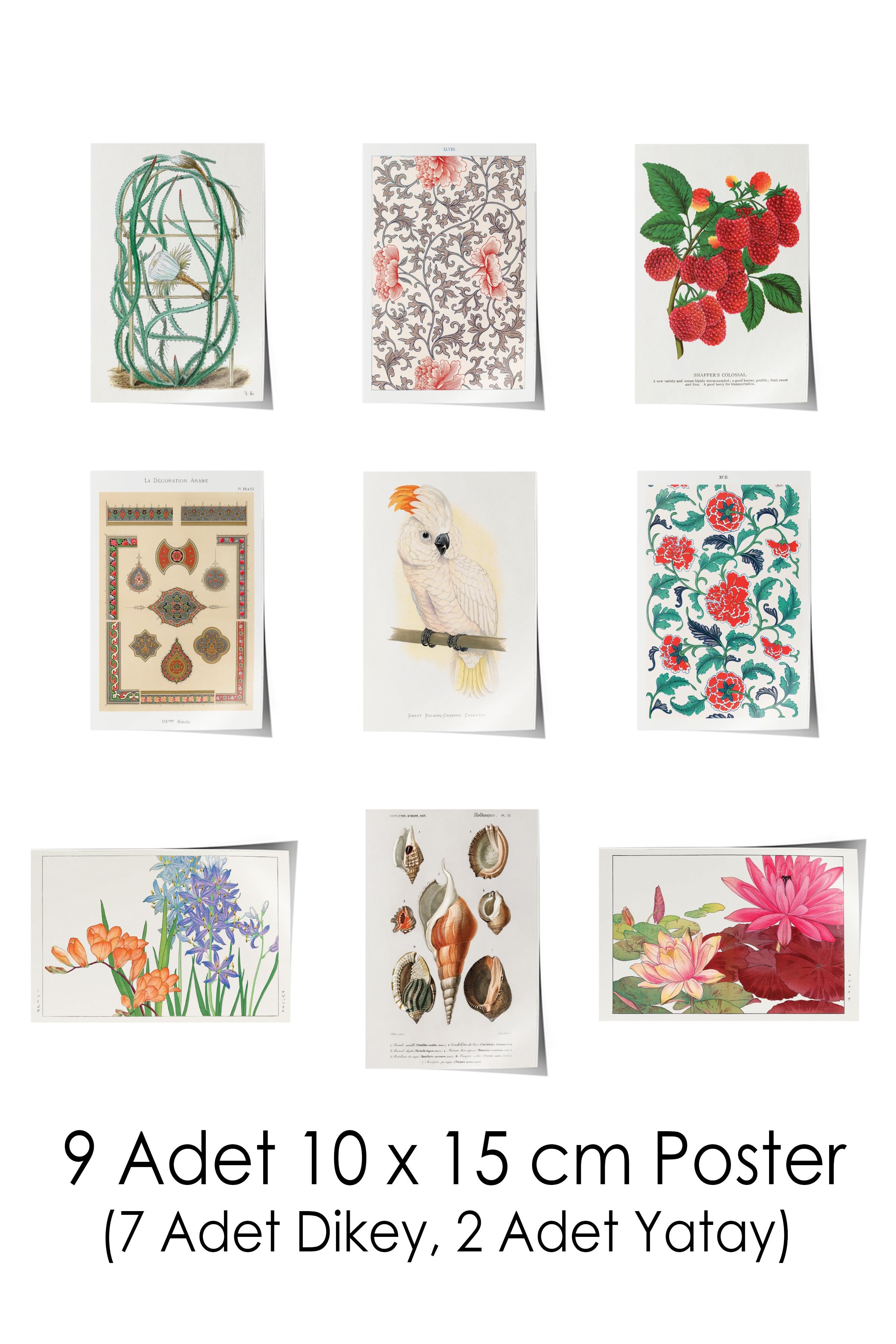 Vintage Duvar Poster Seti - 17 Adet Vintage Poster - Ev ve Ofis Duvar Tablosu - Çerçevesiz Poster