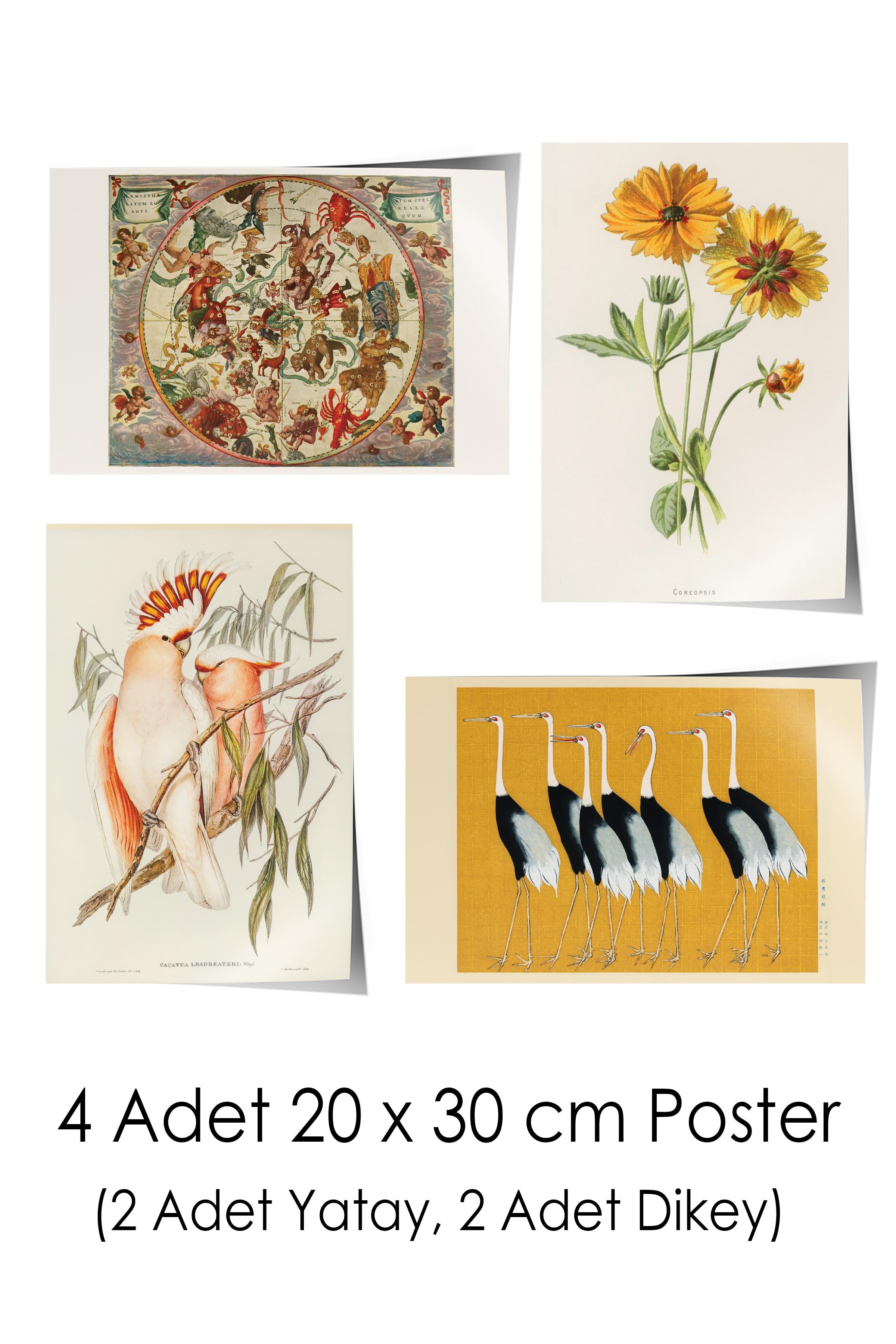 Vintage Duvar Poster Seti - 17 Adet Vintage Poster - Ev ve Ofis Duvar Tablosu - Çerçevesiz Poster