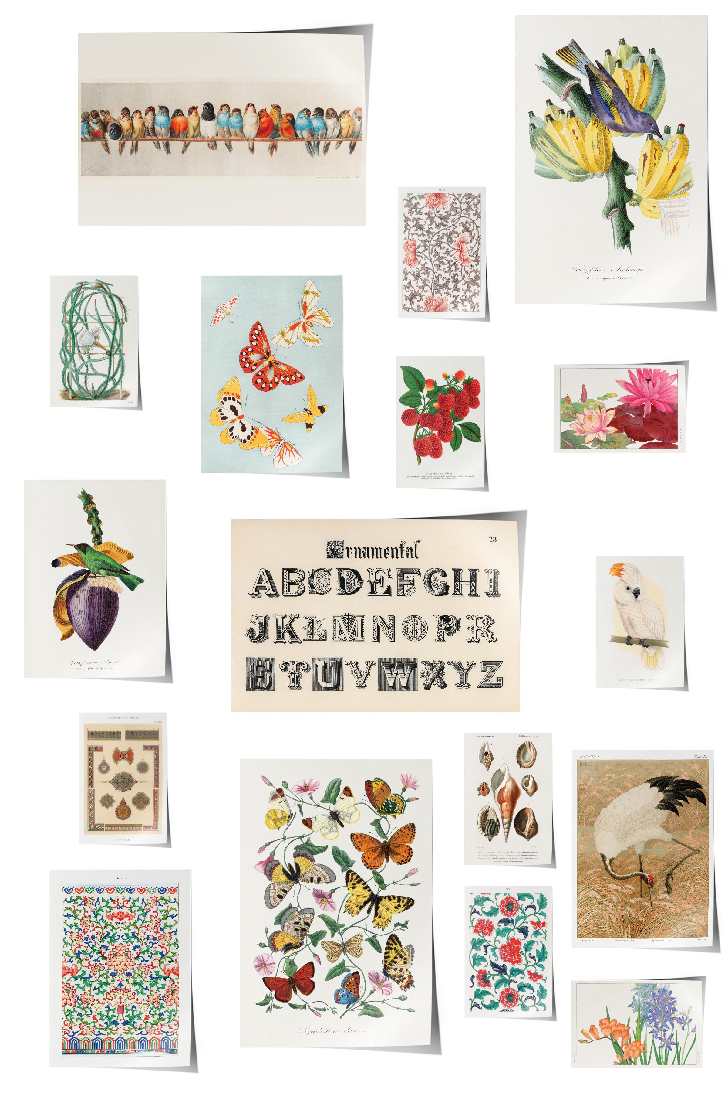 Vintage Duvar Poster Seti - 17 Adet Vintage Poster - Ev ve Ofis Duvar Tablosu - Çerçevesiz Poster