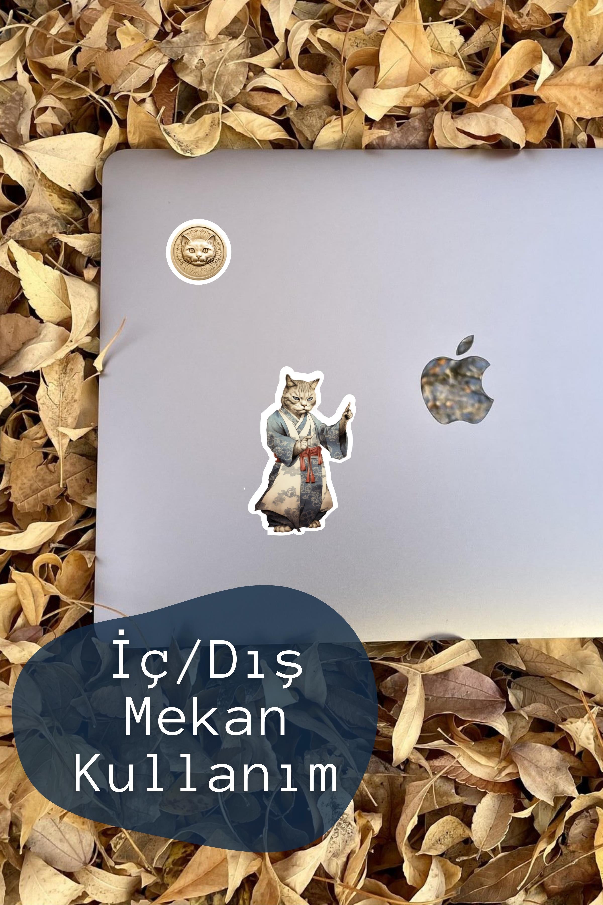 Vintage Kediler Etiket Seti, Büyük Boy, 12 Adet Su Geçirmez, Vintage Sticker, Laptop, Telefon, Valiz Uyumlu