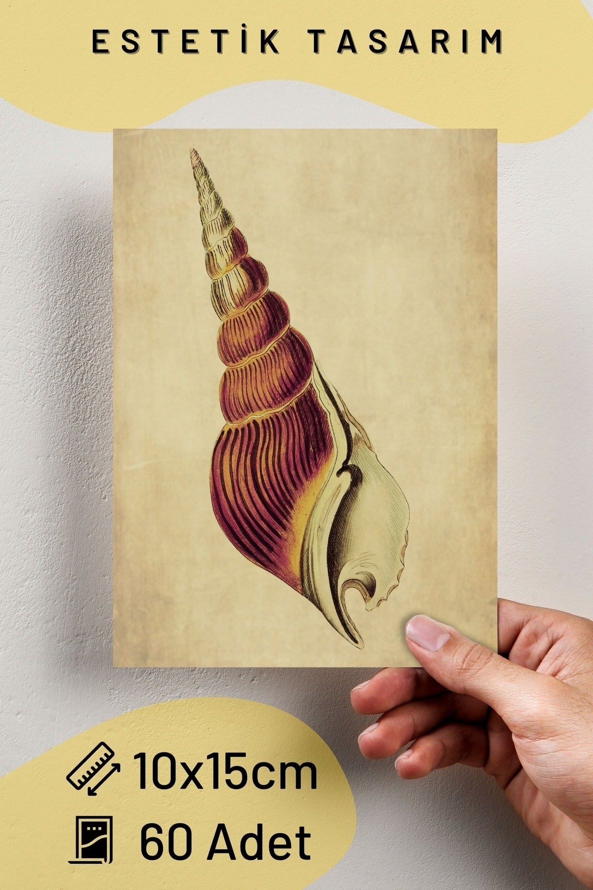 Vintage Retro Poster Seti - Kolaj Seti Duvar Dekoru, Duvar Posteri - Sticker Hediyeli - 60 Adet
