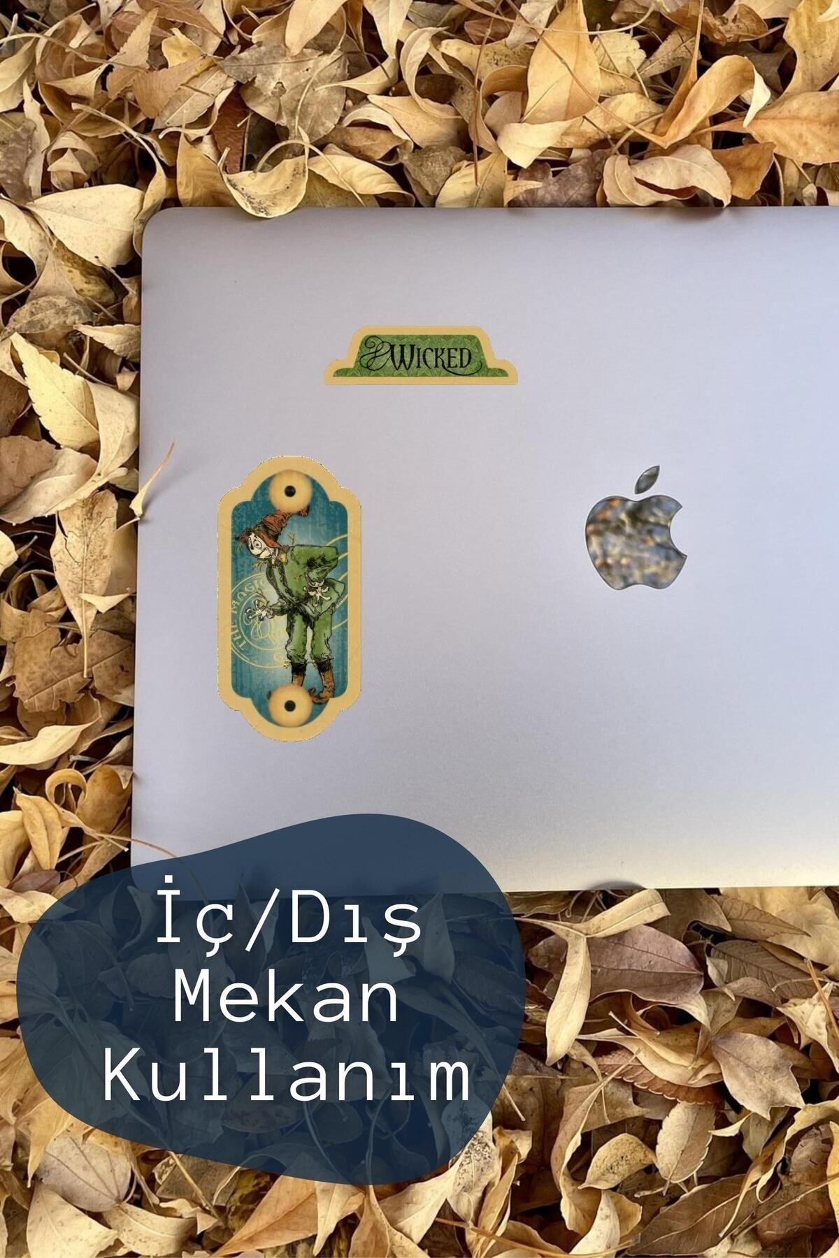 Vintage Temalı Sticker Seti - 17 Adet Etiket Seti- Telefon, Tablet, Defter Laptop Uyumlu Etiket