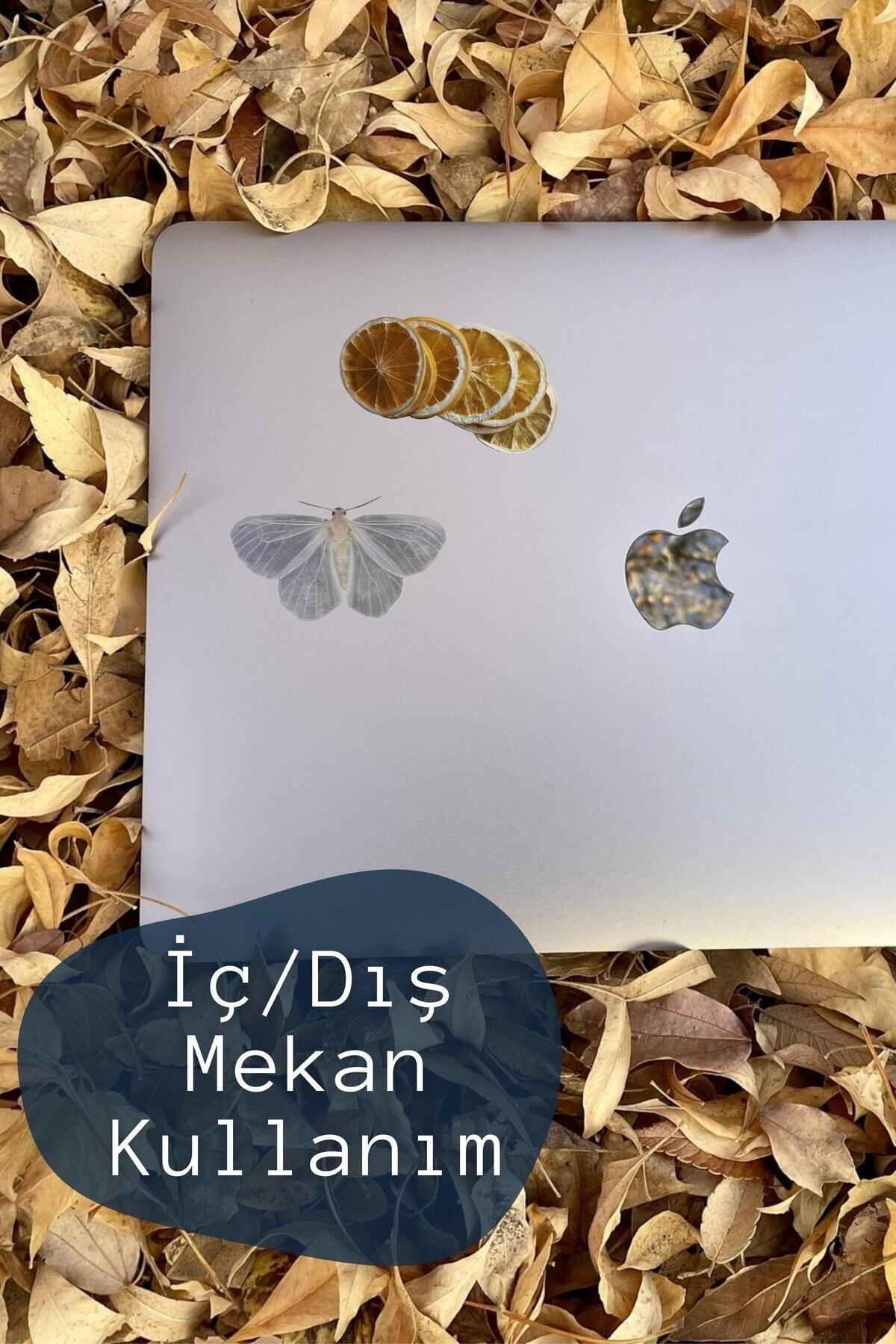 Vintage Temalı Sticker Seti - 8 Adet Etiket Seti- Telefon, Tablet, Defter Laptop Uyumlu Etiket