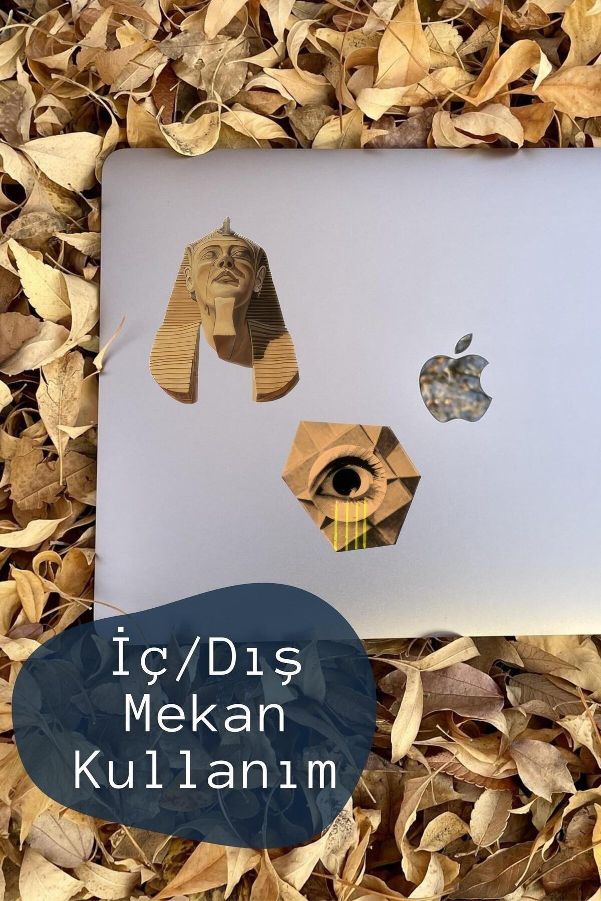 Vintage Temalı Sticker Seti - 8 Adet Etiket Seti- Telefon, Tablet, Defter Laptop Uyumlu Etiket