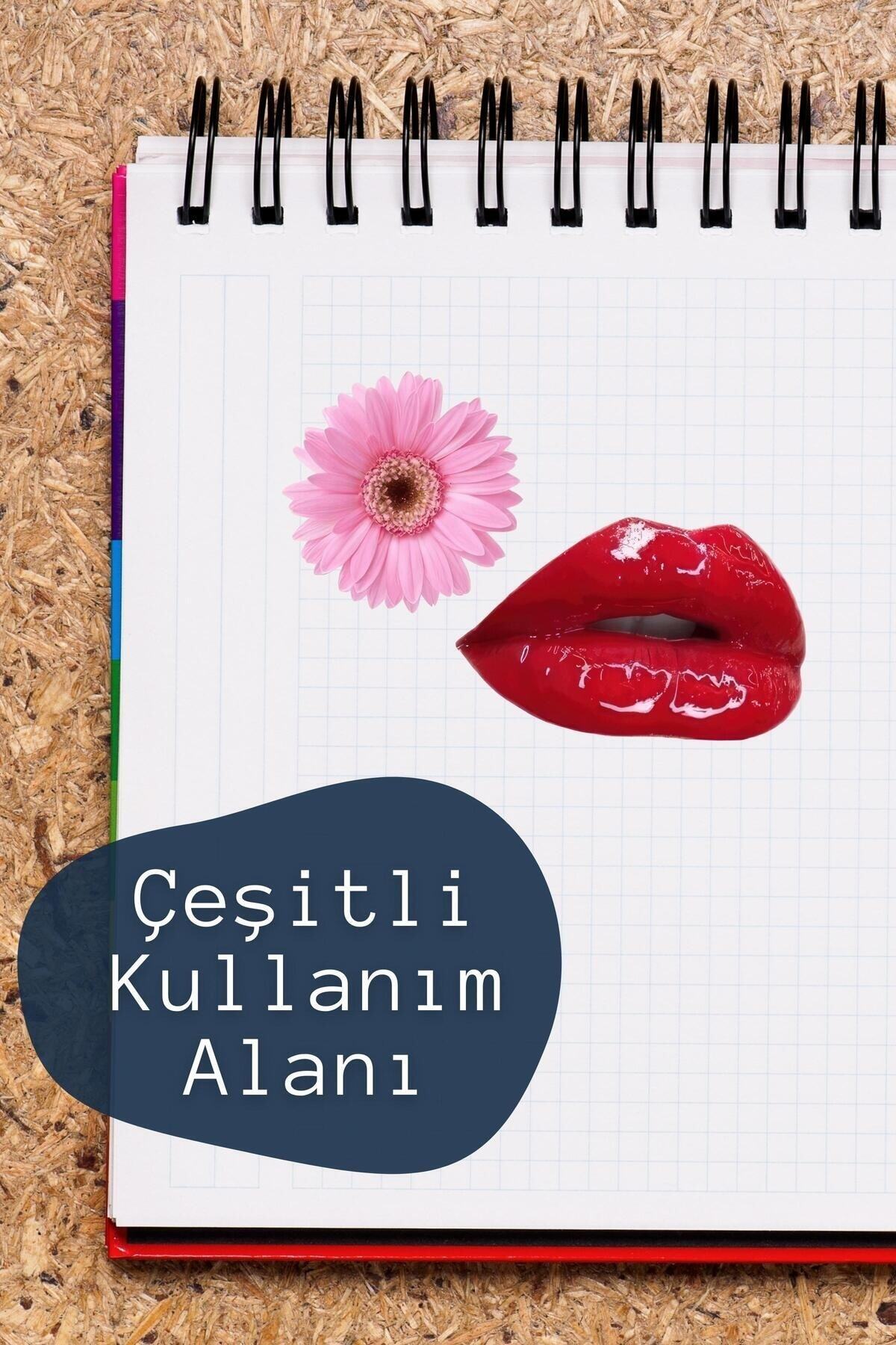 Vintage Temalı Sticker Seti - 9 Adet Etiket Seti- Telefon, Tablet, Defter Laptop Uyumlu Etiket