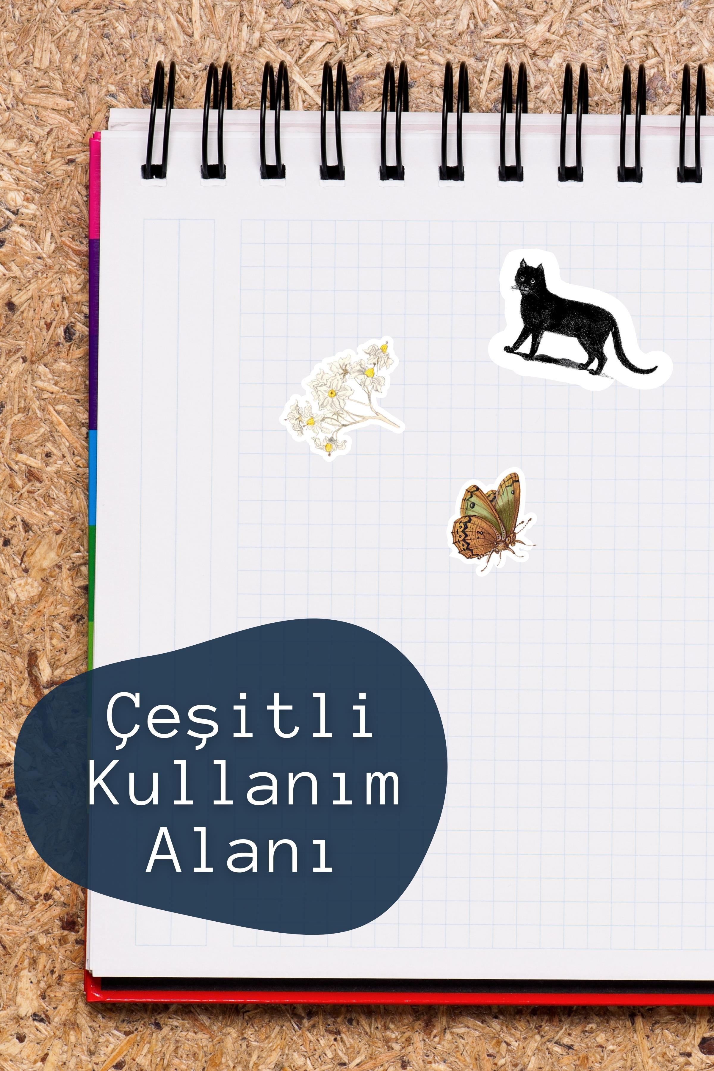 Vintage ve Gezi Etiket Seti, 12 Adet Su Geçirmez, Vintage Sticker, Journal, Memopad, Günlük Uyumlu