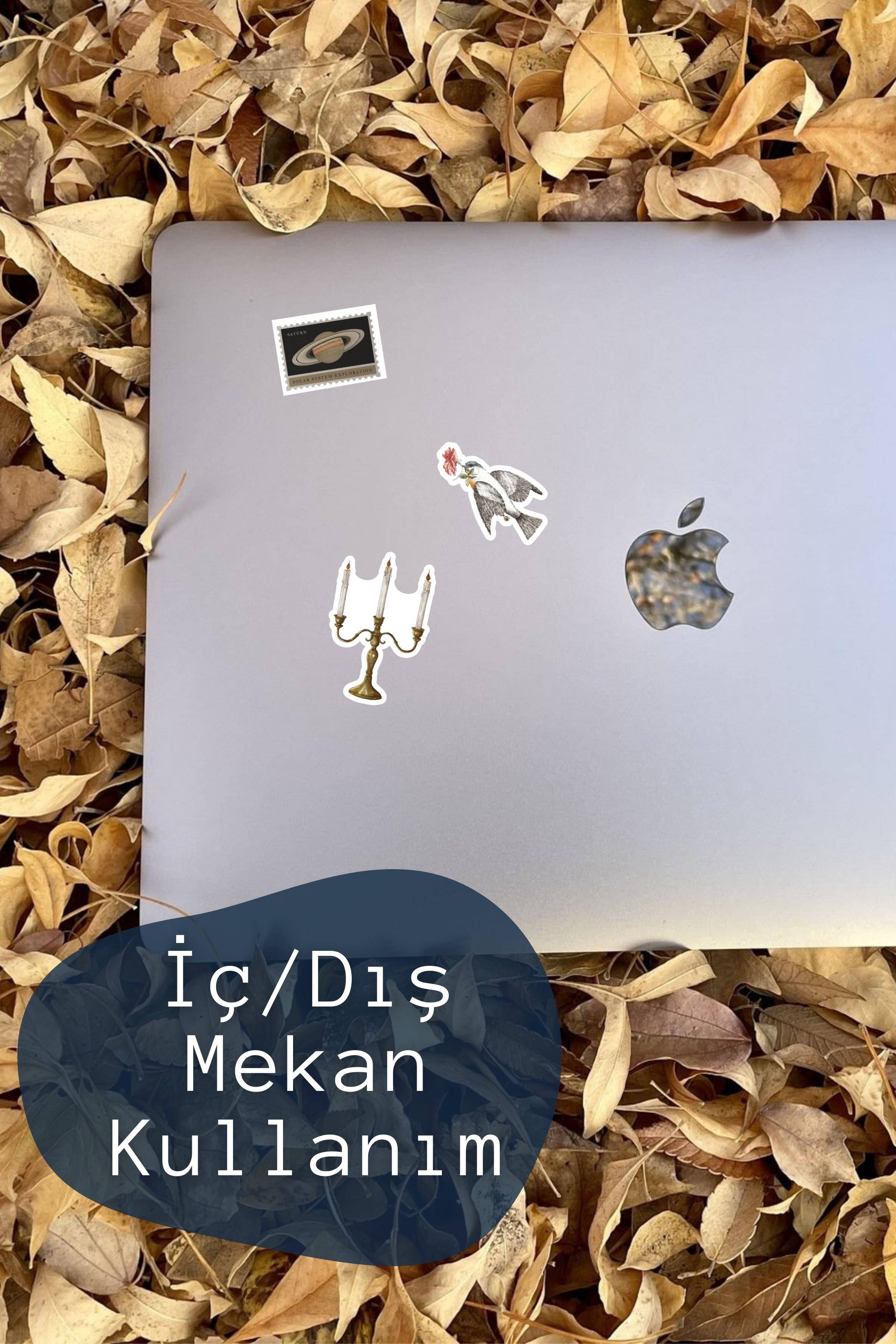 Vintage ve Retro Etiket Seti, 16 Adet Su Geçirmez, Vintage Sticker, Journal, Memopad, Günlük Uyumlu