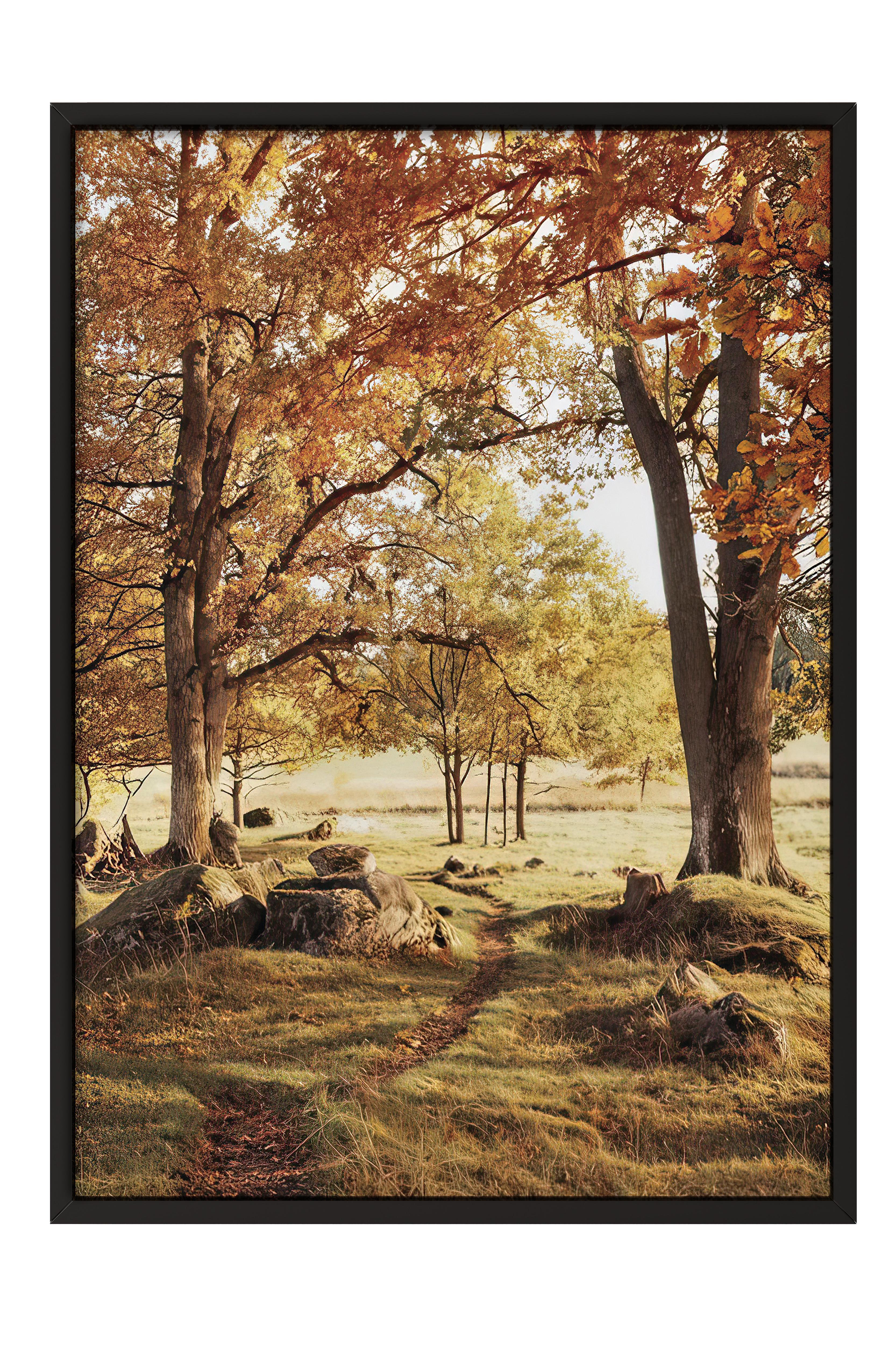 Warm Grove Canvas Çerçeveli Tablo, Siyah Çerçeve ve Poster, Duvar Tablosu Comfort Serisi NO:108354