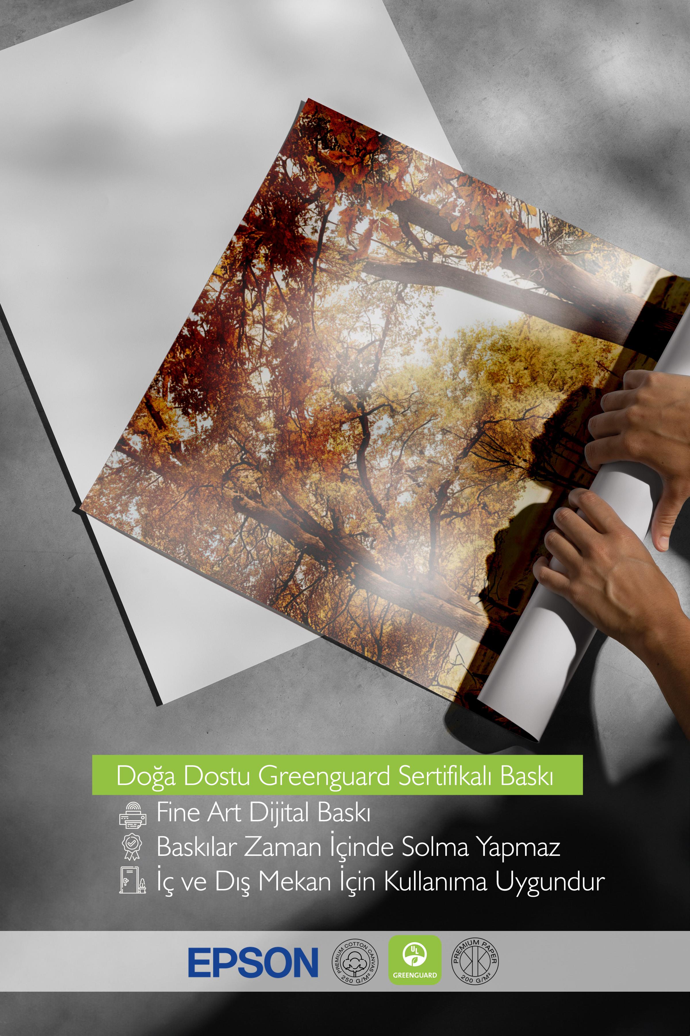 Warm Grove Canvas Poster, Çerçevesiz Duvar Posteri, Dikey Duvar Tablosu Comfort Serisi NO:108354