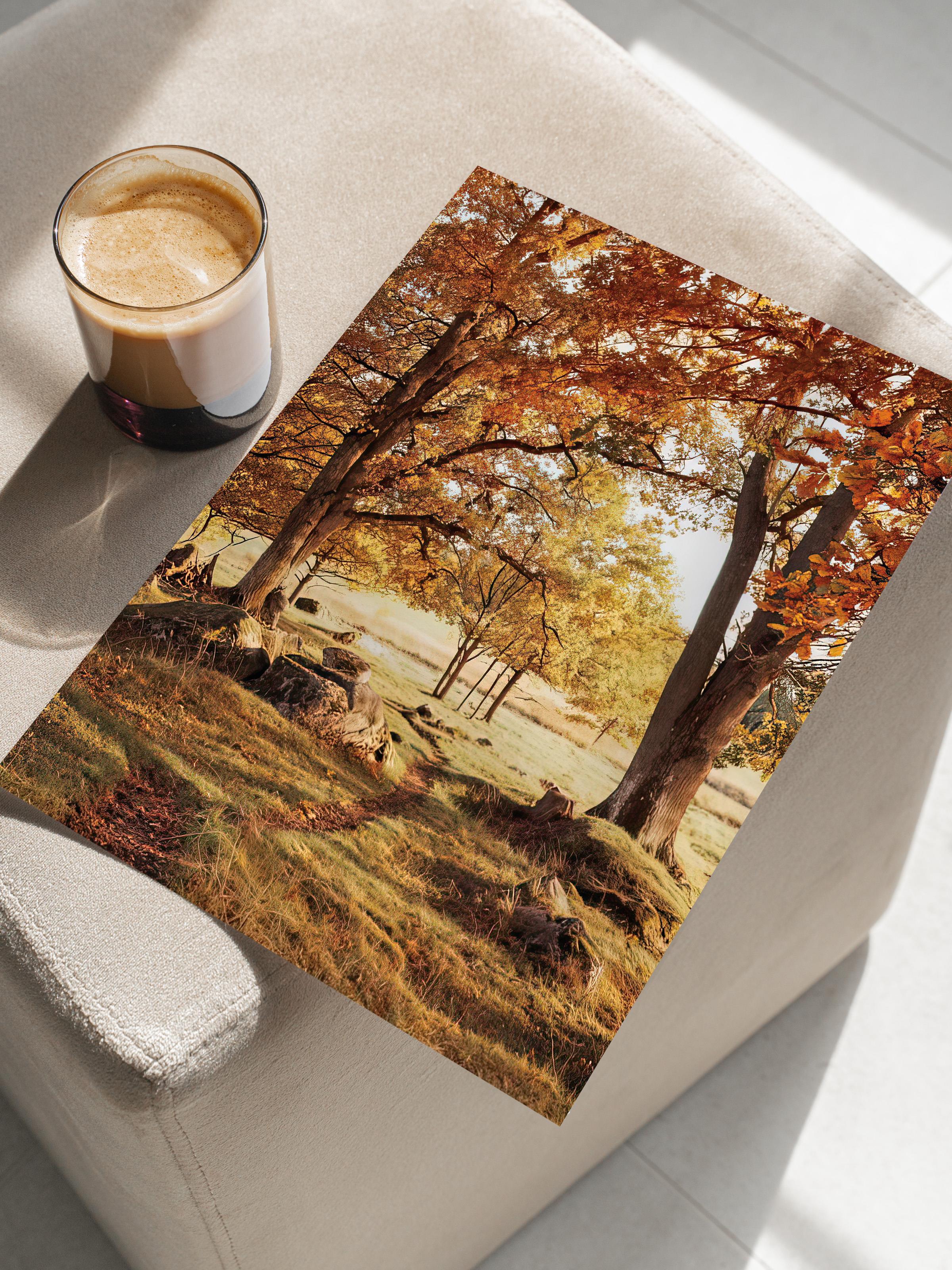 Warm Grove Canvas Poster, Çerçevesiz Duvar Posteri, Dikey Duvar Tablosu Comfort Serisi NO:108354