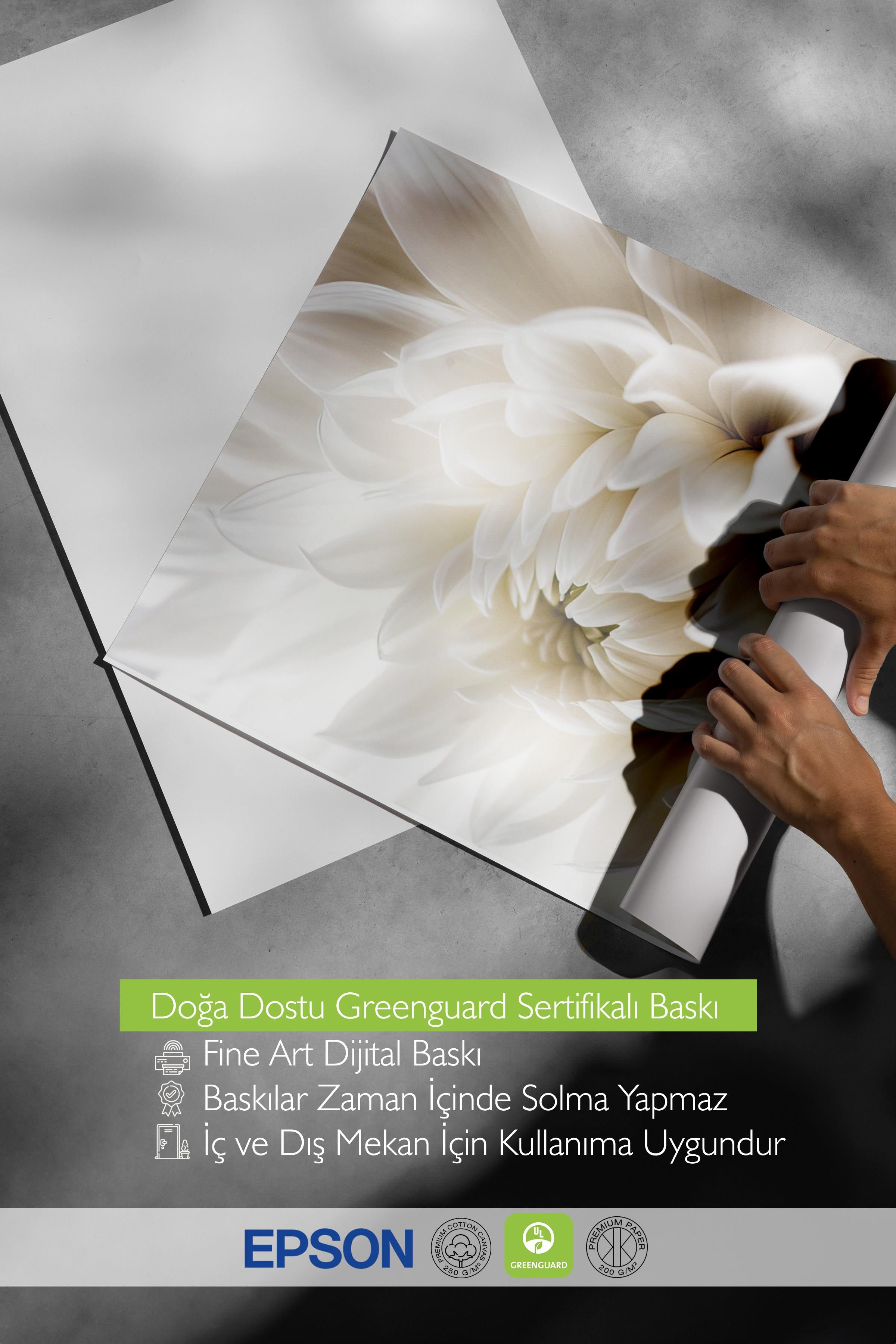 White Dahlia Poster, Çerçevesiz Duvar Posteri, Dikey Duvar Tablosu Comfort Serisi NO:108311