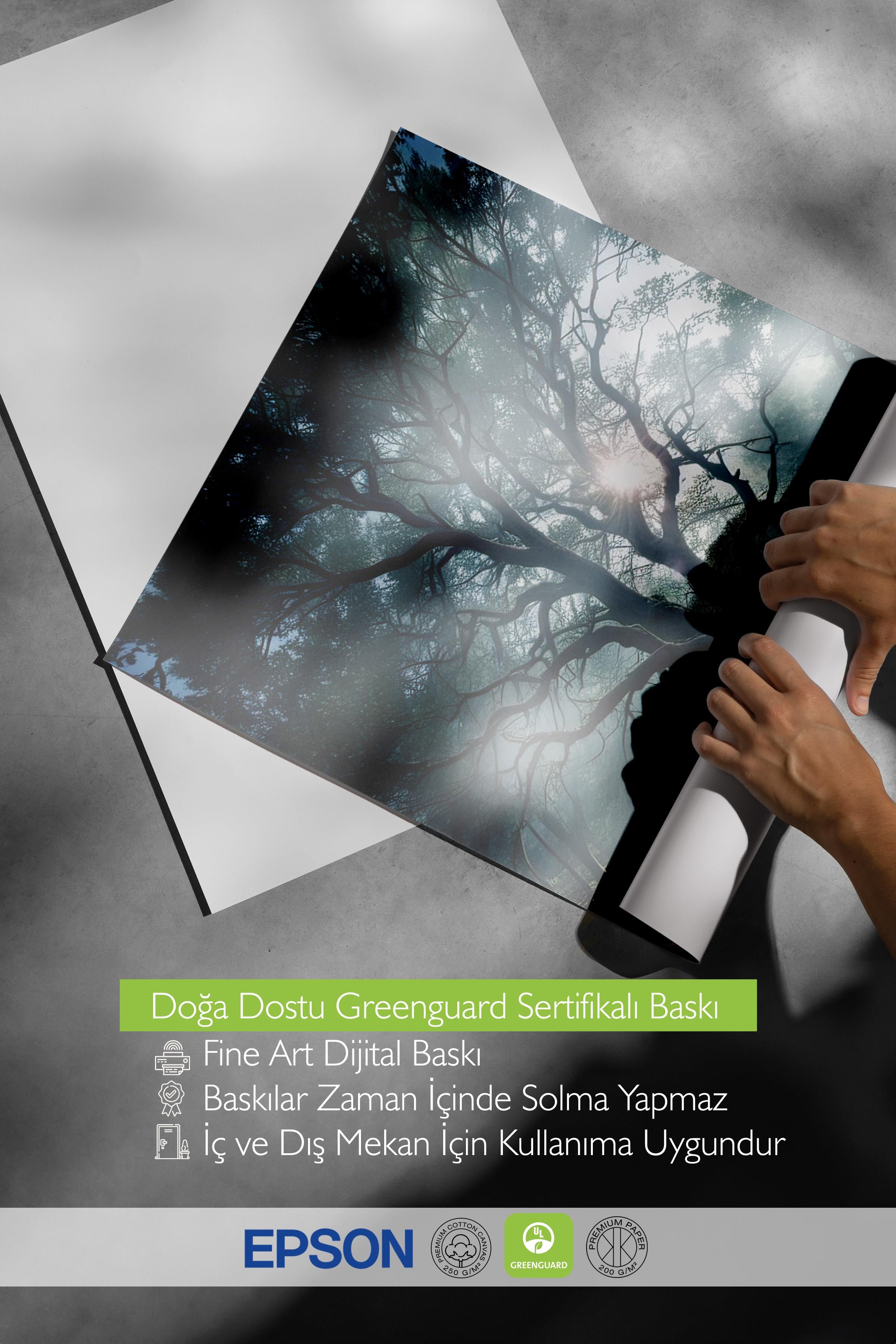 Whomping Willow Poster, Çerçevesiz Duvar Posteri, Dikey Duvar Tablosu Comfort Serisi NO:108289