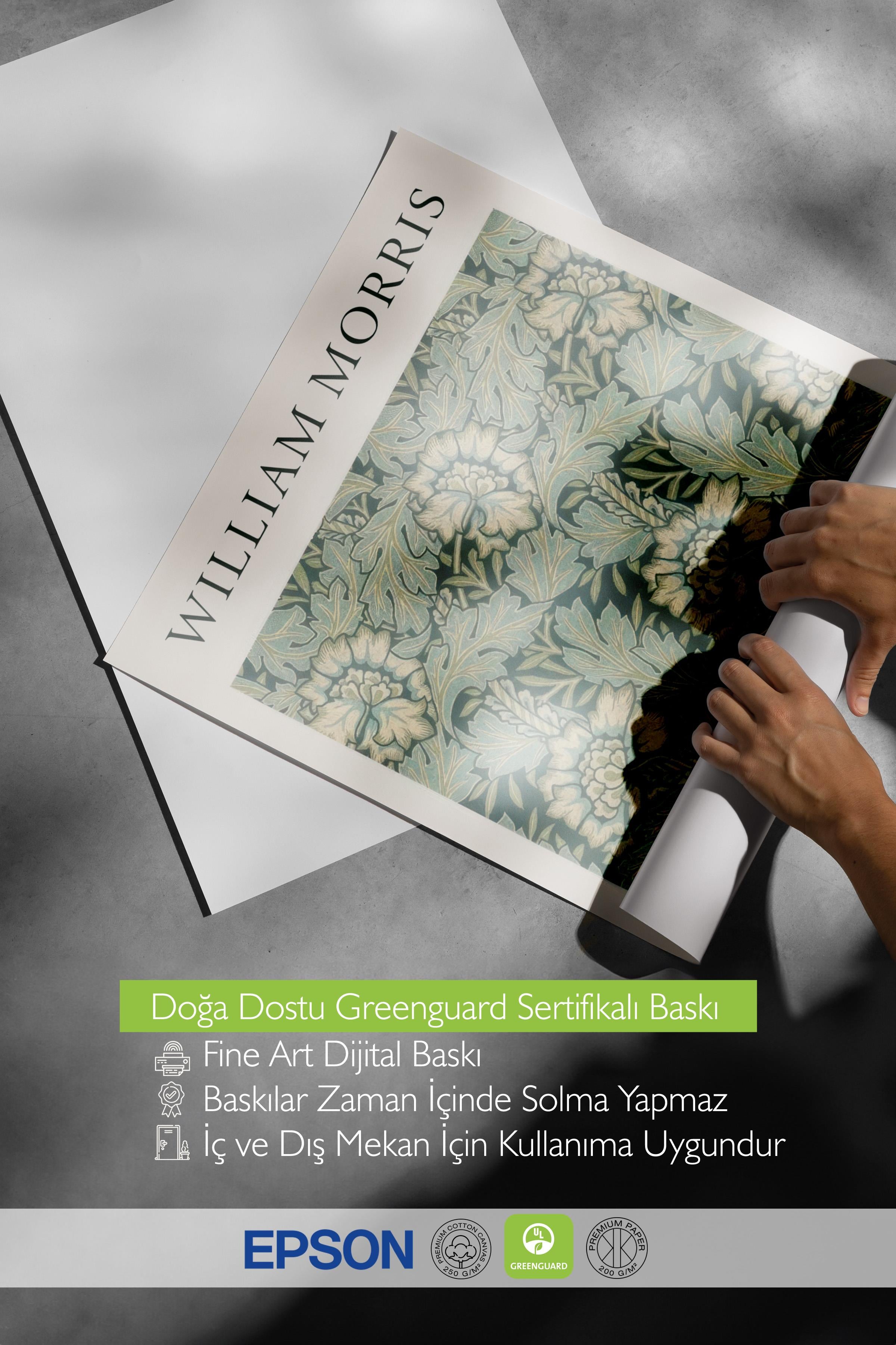 William Morris - Anemone Poster, Dikey Duvar Tablosu Comfort Serisi NO:108469