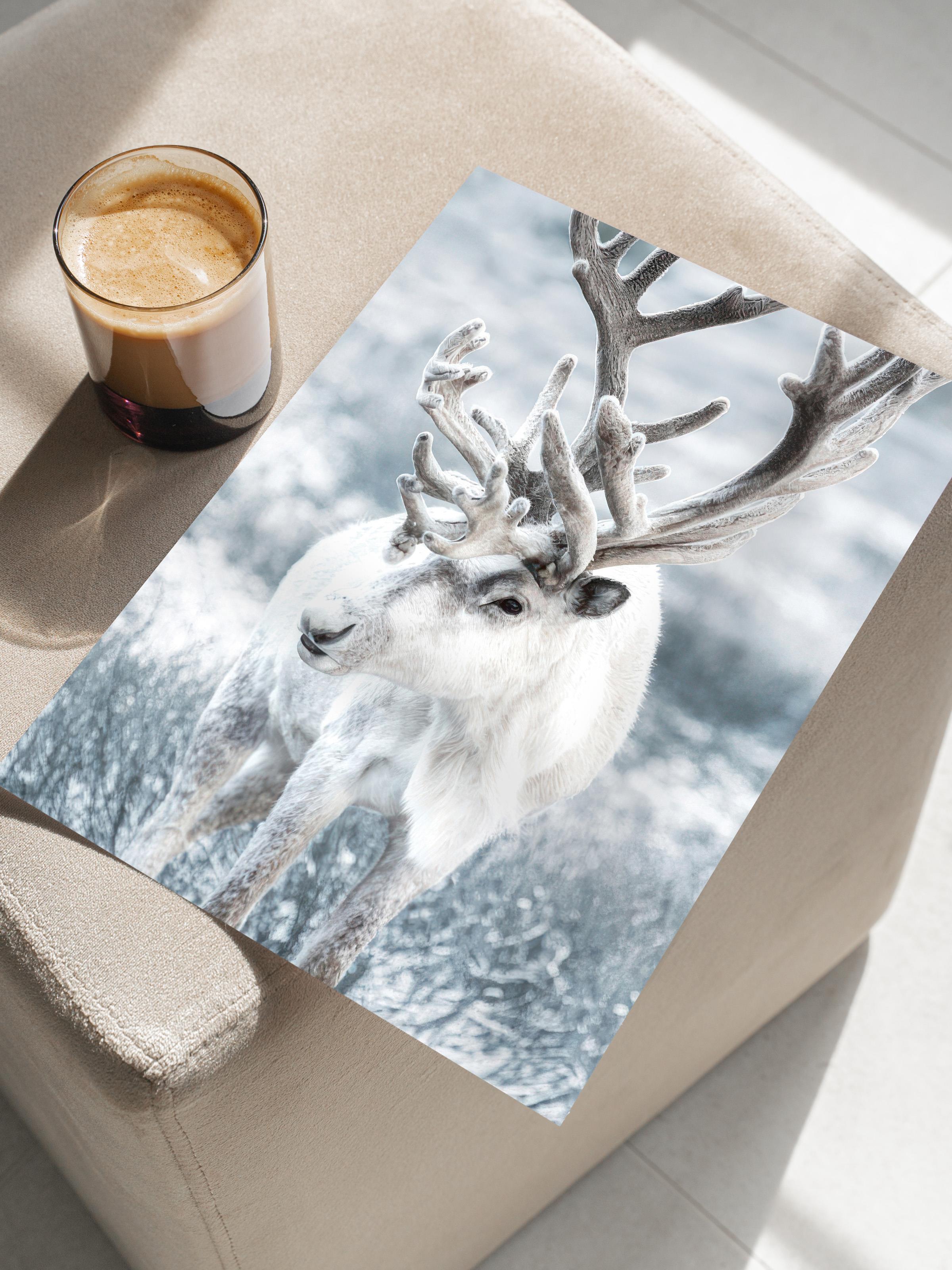 Winter Reindeer Poster, Çerçevesiz Duvar Posteri, Yılbaşı Duvar Tablosu Comfort Serisi NO:108509