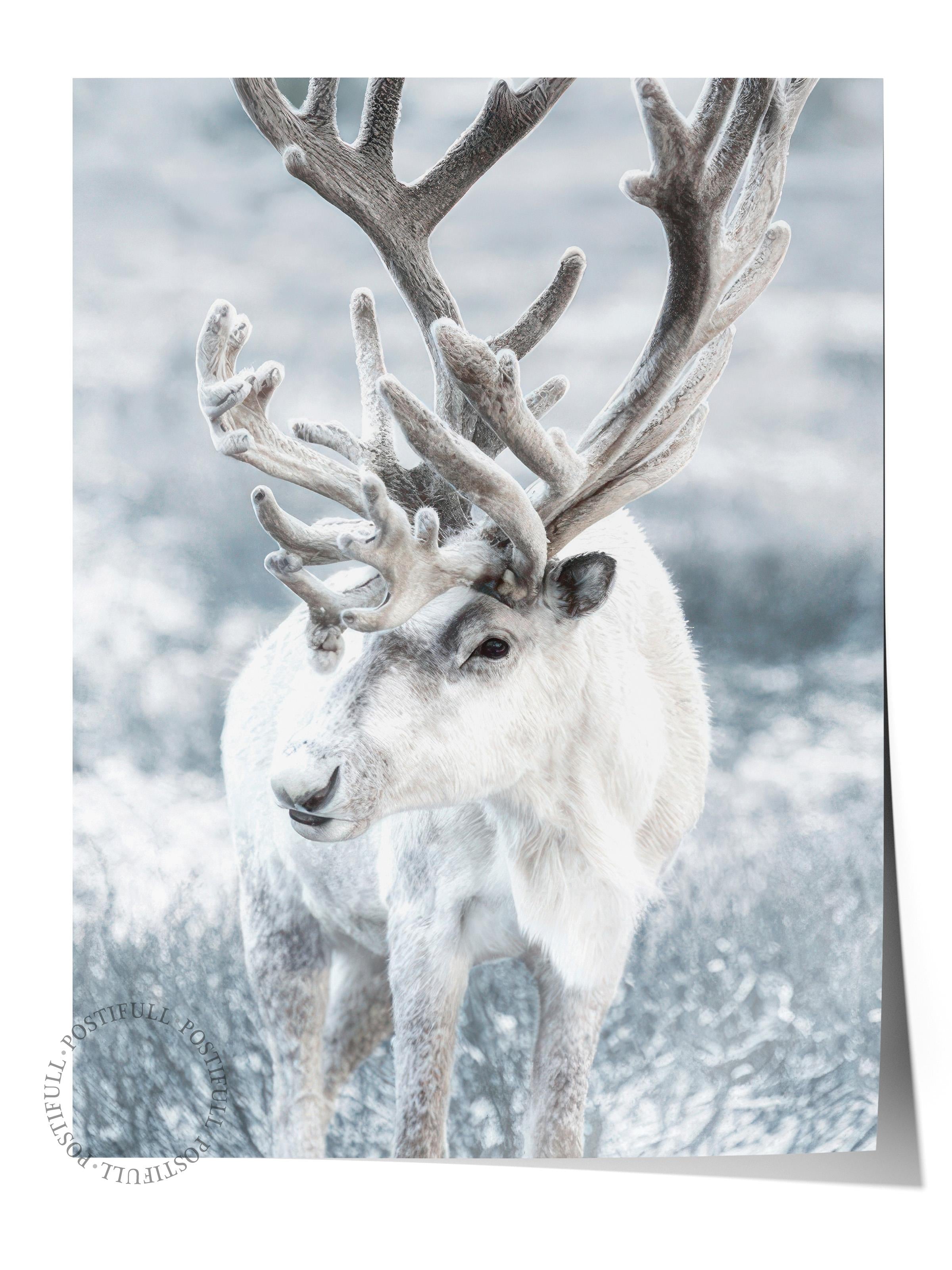 Winter Reindeer Poster, Çerçevesiz Duvar Posteri, Yılbaşı Duvar Tablosu Comfort Serisi NO:108509
