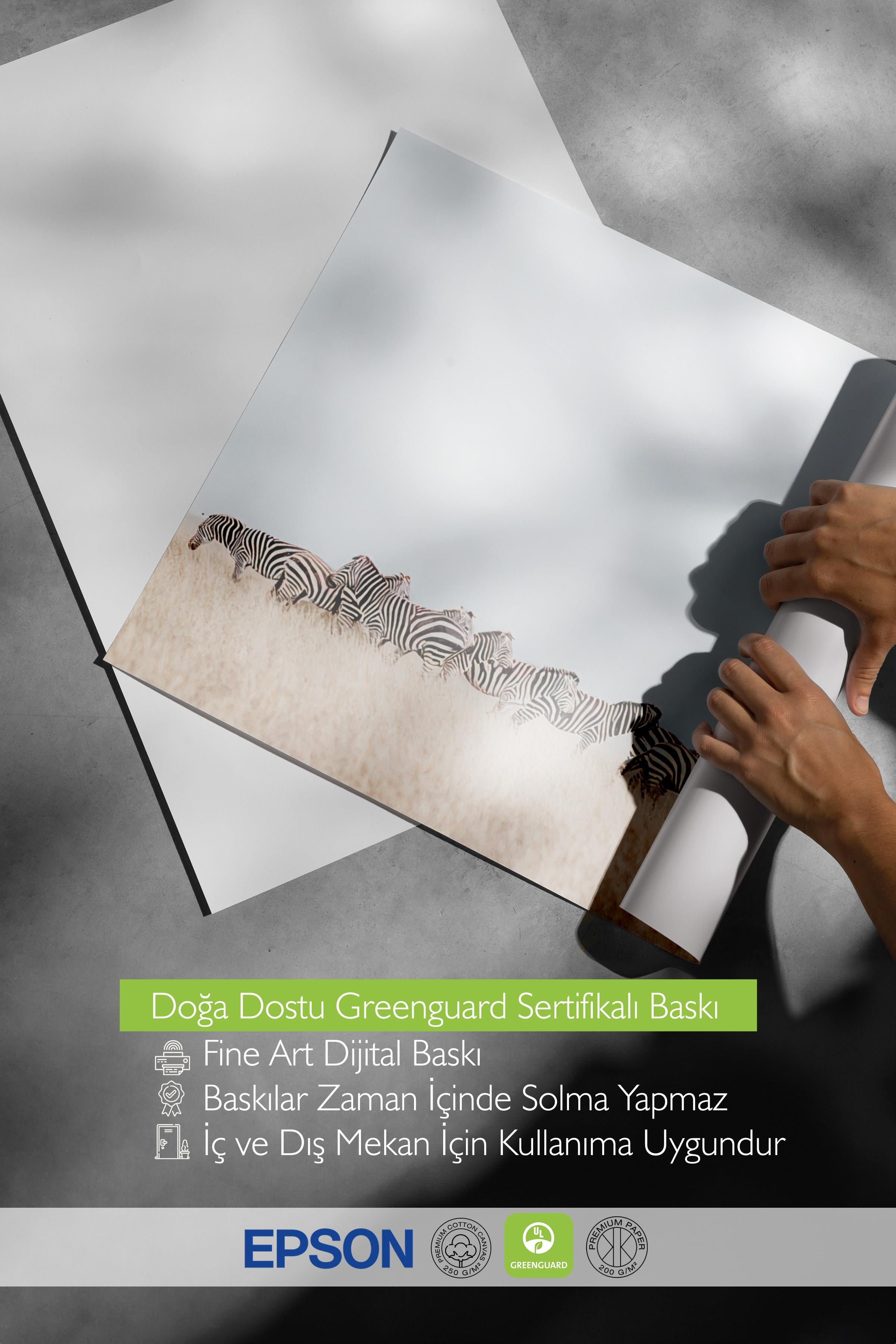 Zebra Herd Poster, Çerçevesiz Duvar Posteri, Yatay Duvar Tablosu Comfort Serisi NO:108464