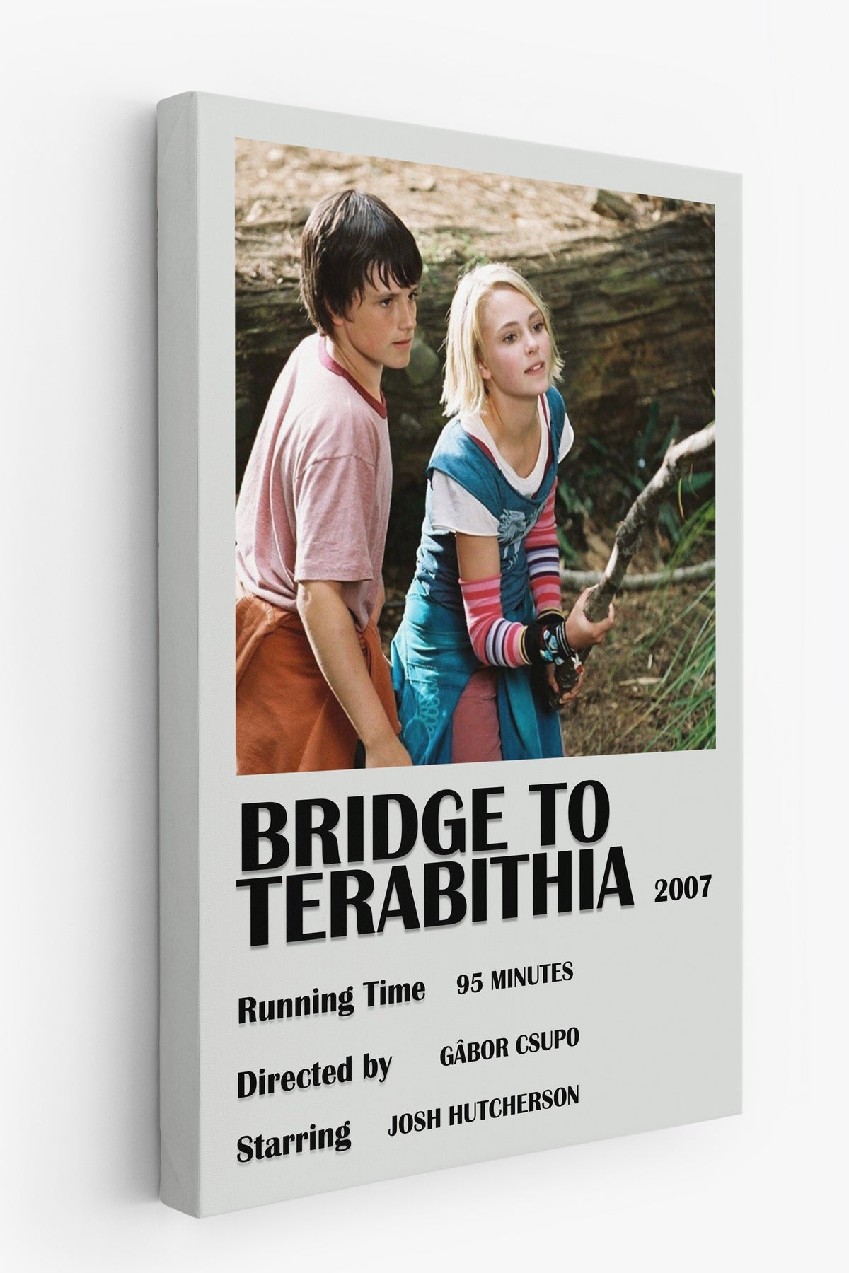 Farklı Tonlarda Bridge to Terabithia Film Kanvas Tablo
